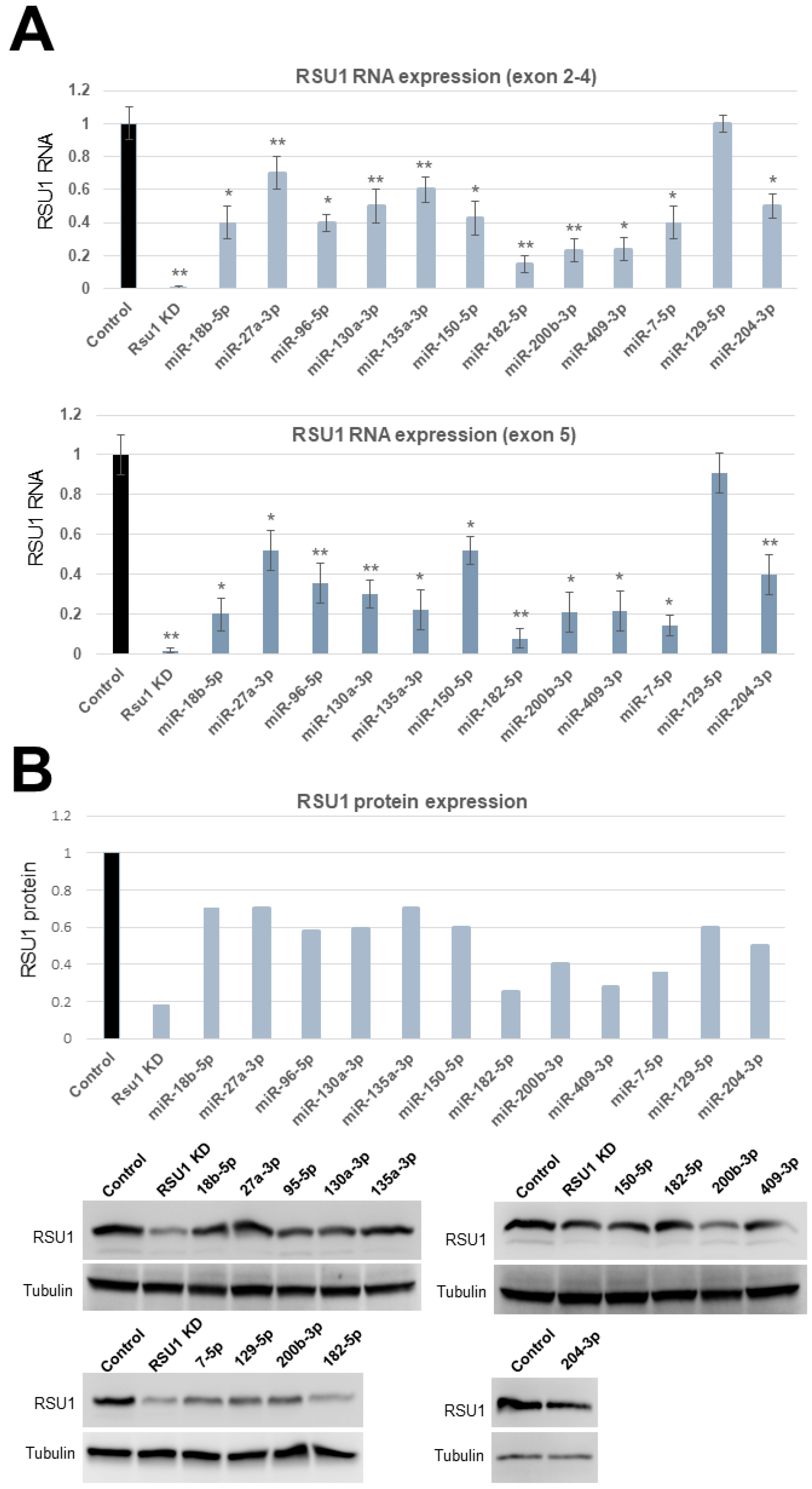 Ijms 21 05458 g001 Ijms 21 05458 g001