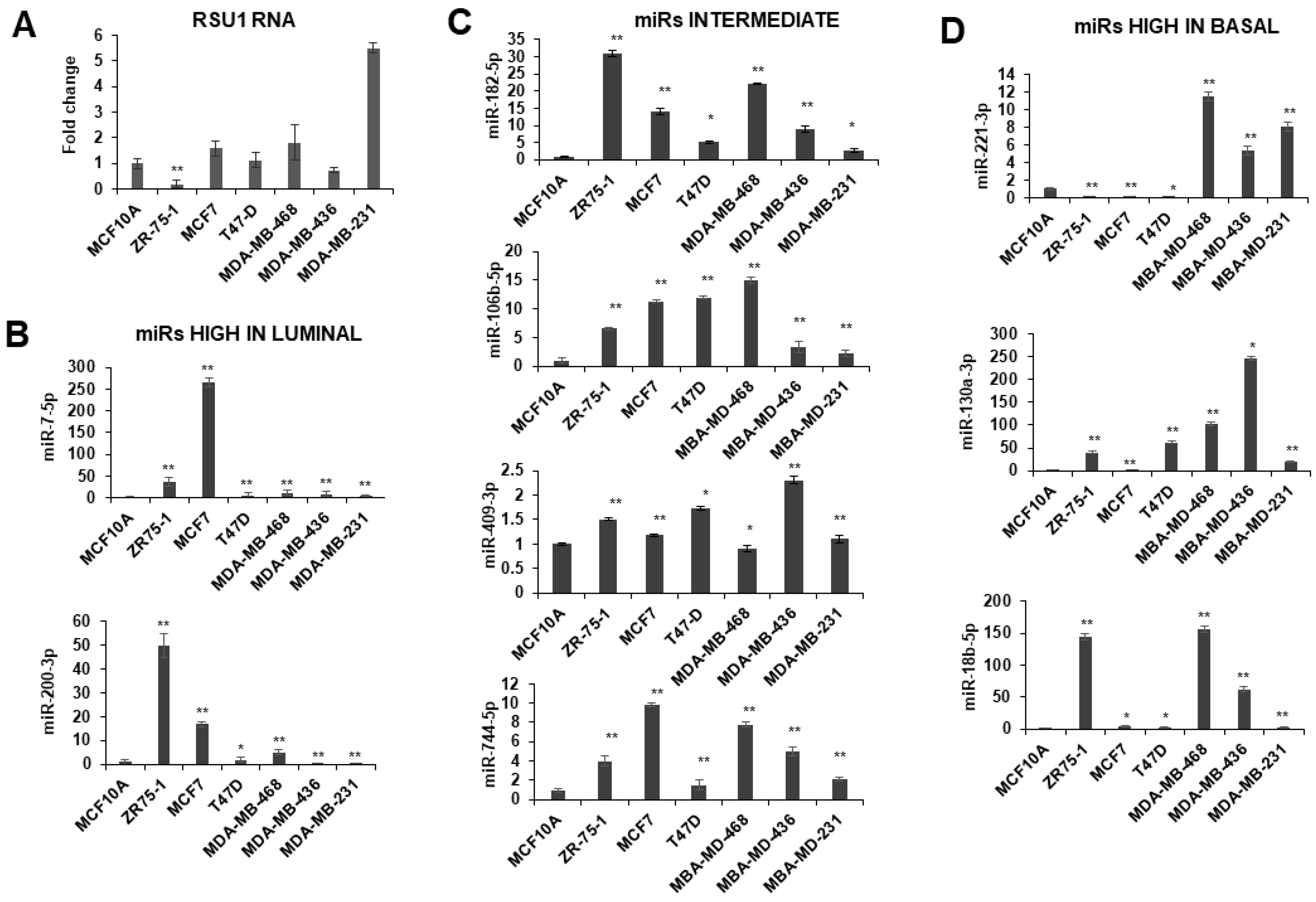 Ijms 21 05458 g002 Ijms 21 05458 g002