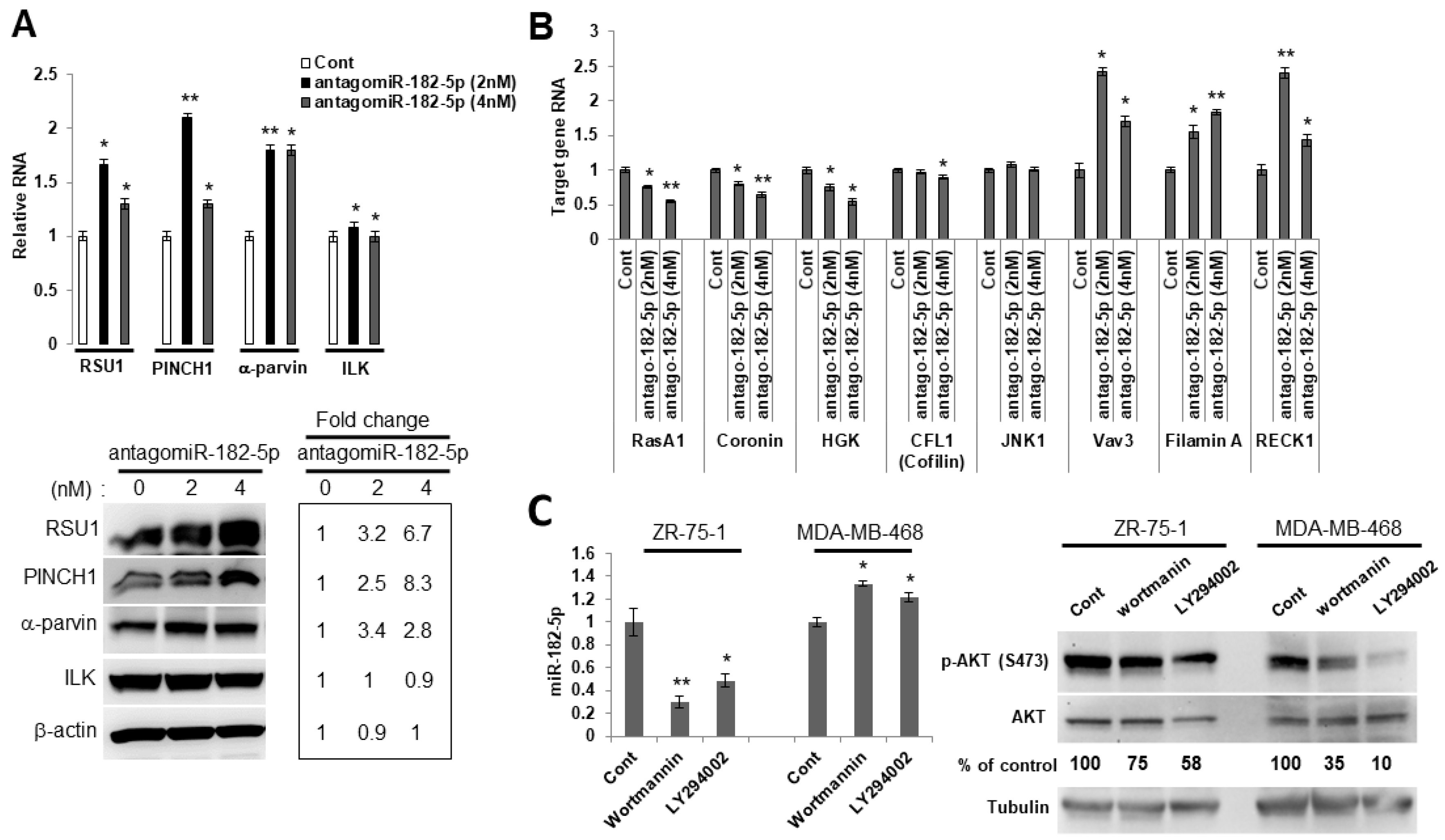 Ijms 21 05458 g004 Ijms 21 05458 g004