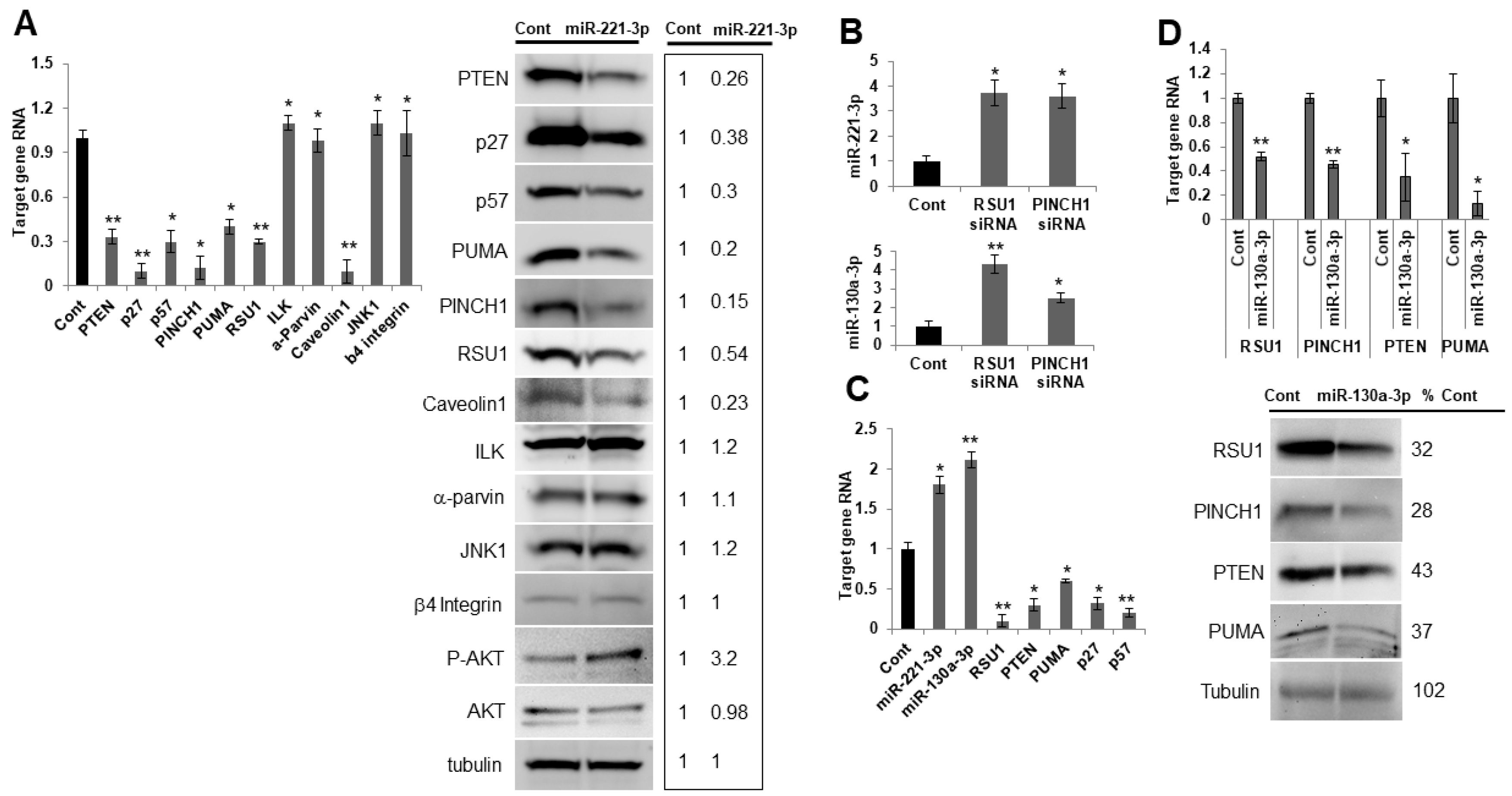 Ijms 21 05458 g005 Ijms 21 05458 g005