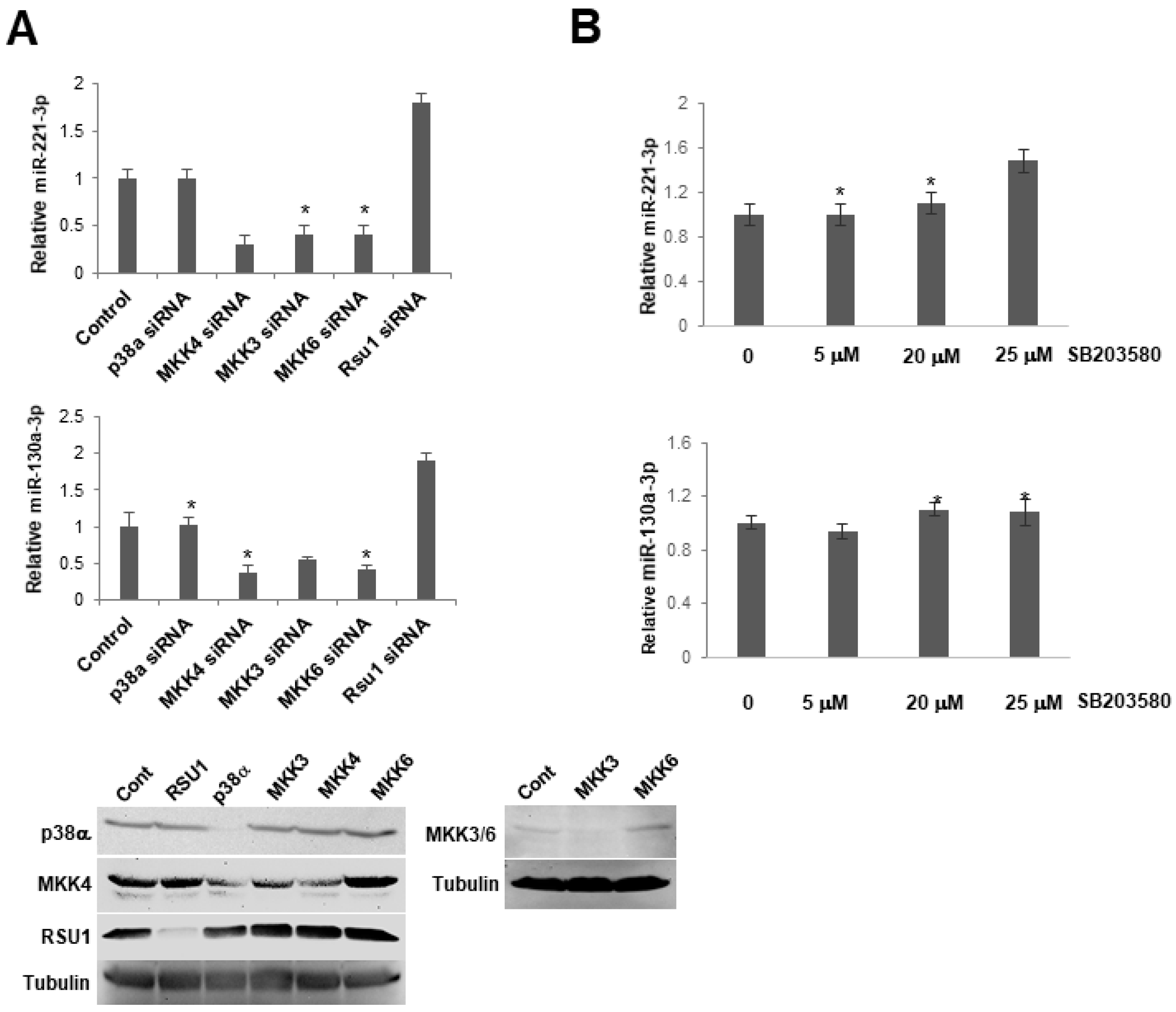 Ijms 21 05458 g006 Ijms 21 05458 g006