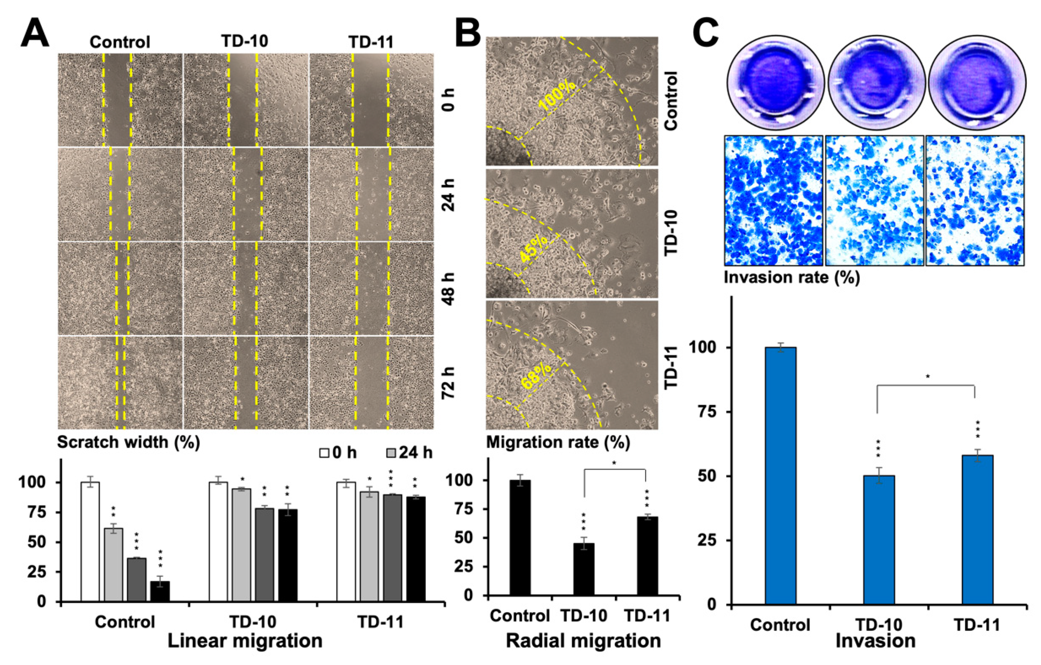 Ijms 21 05463 g001 Ijms 21 05463 g001