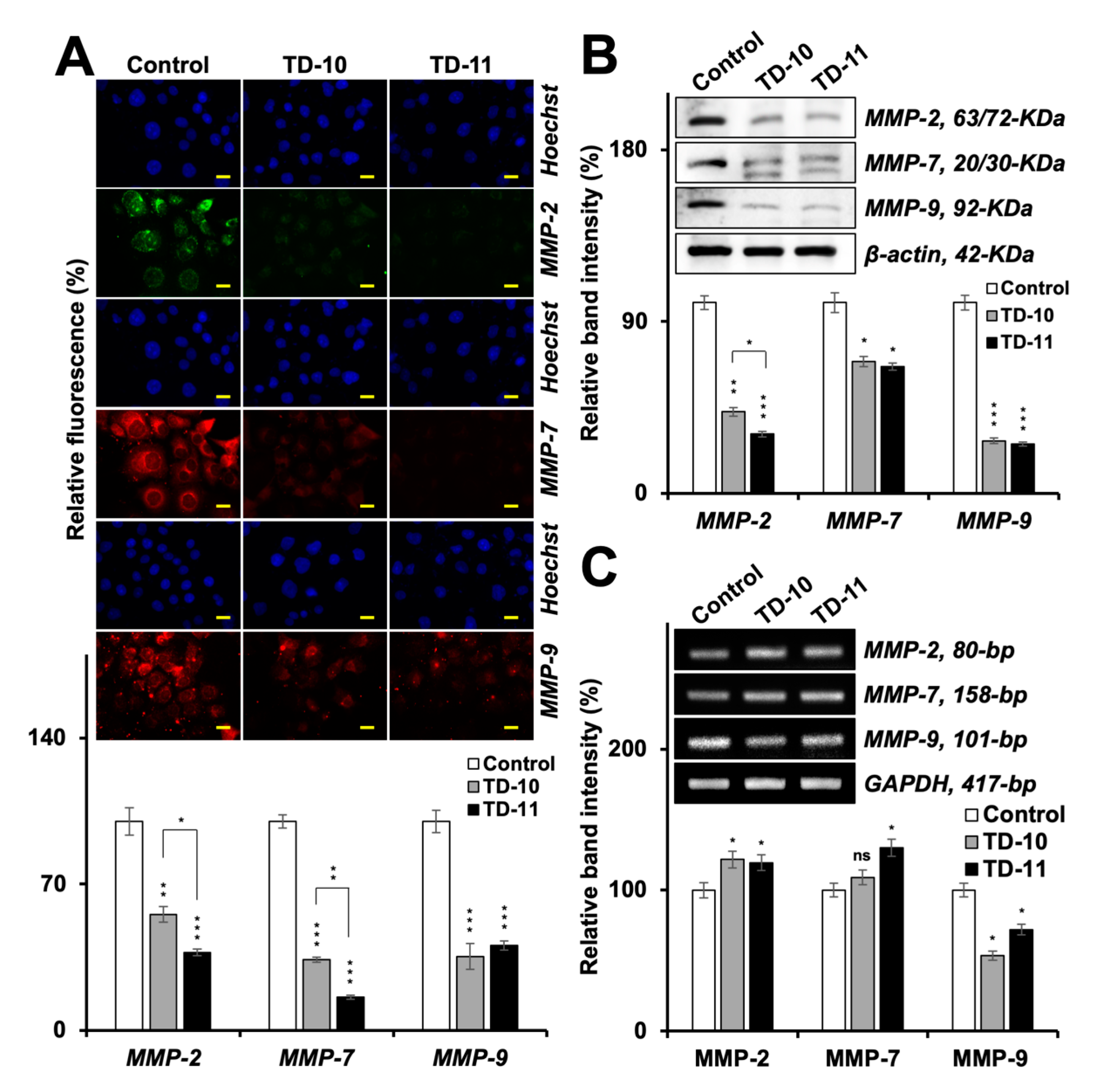 Ijms 21 05463 g007 Ijms 21 05463 g007
