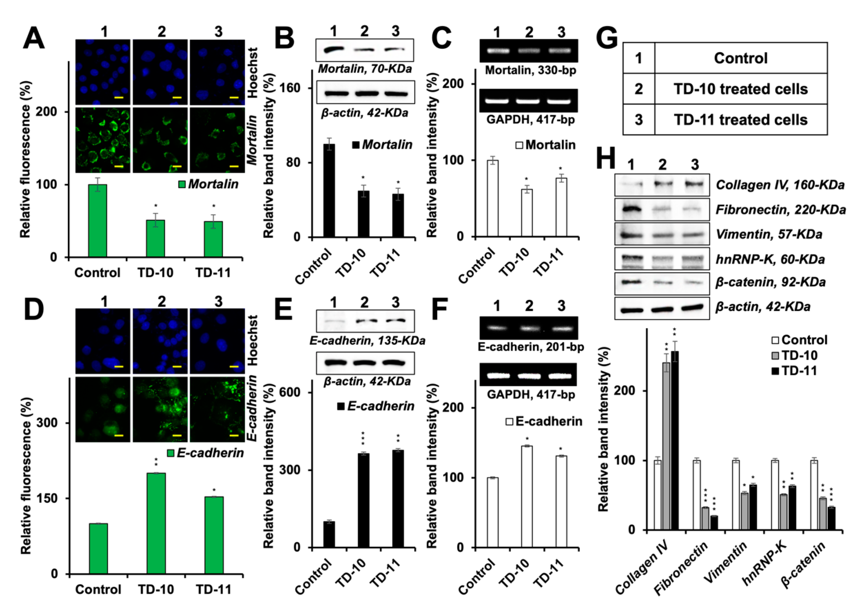 Ijms 21 05463 g008 Ijms 21 05463 g008