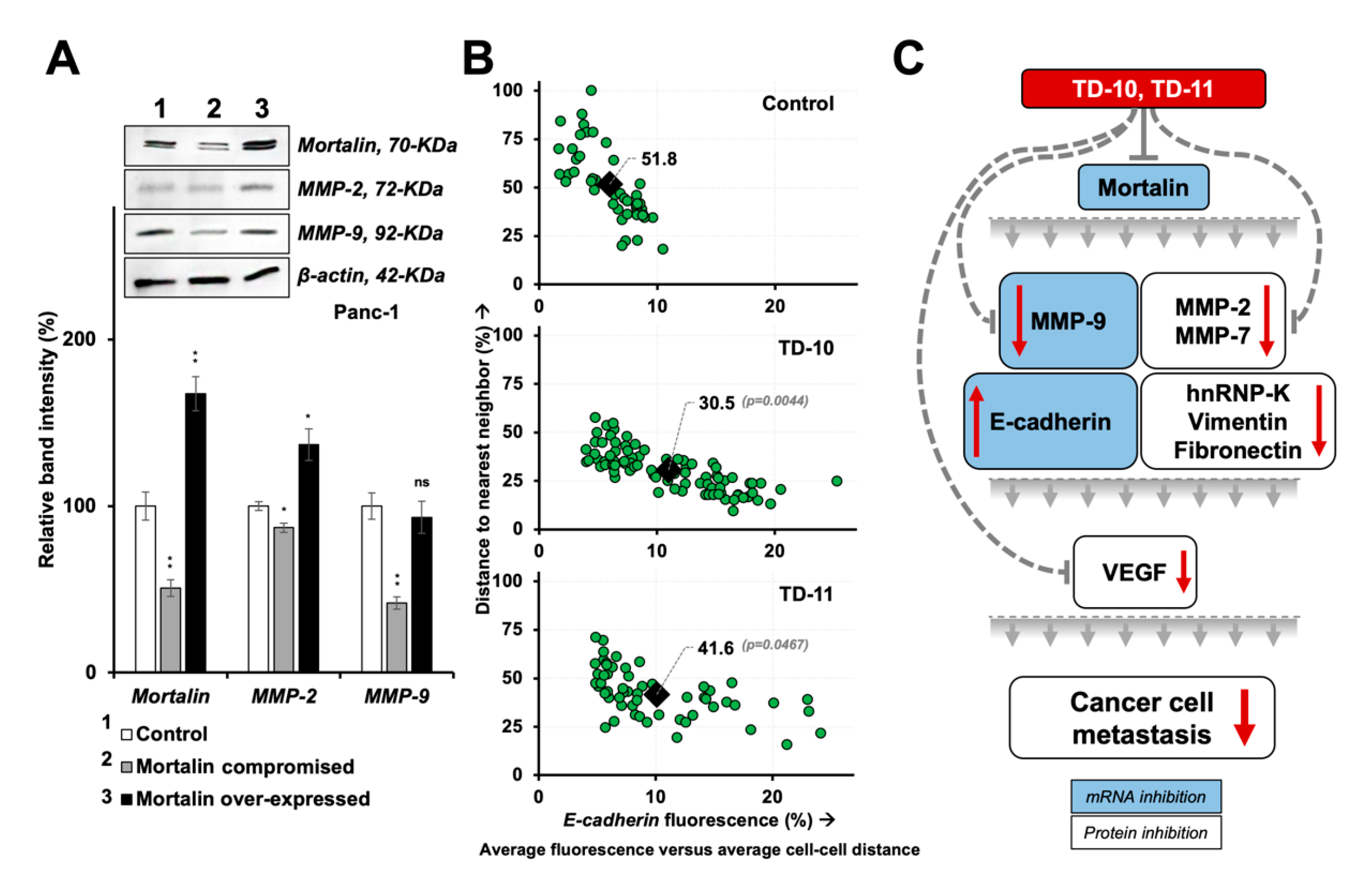 Ijms 21 05463 g009 Ijms 21 05463 g009