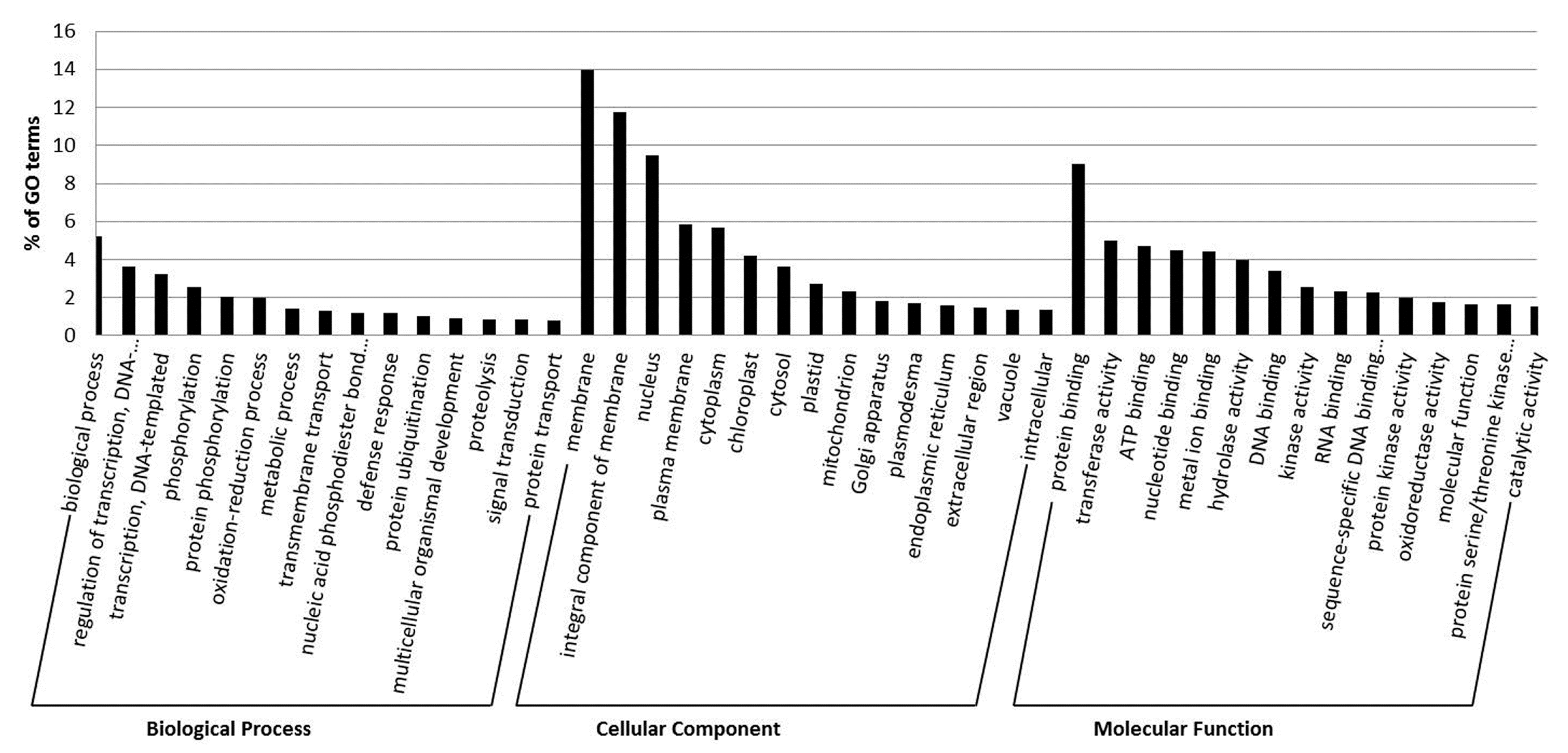 Ijms 21 05468 g004 Ijms 21 05468 g004