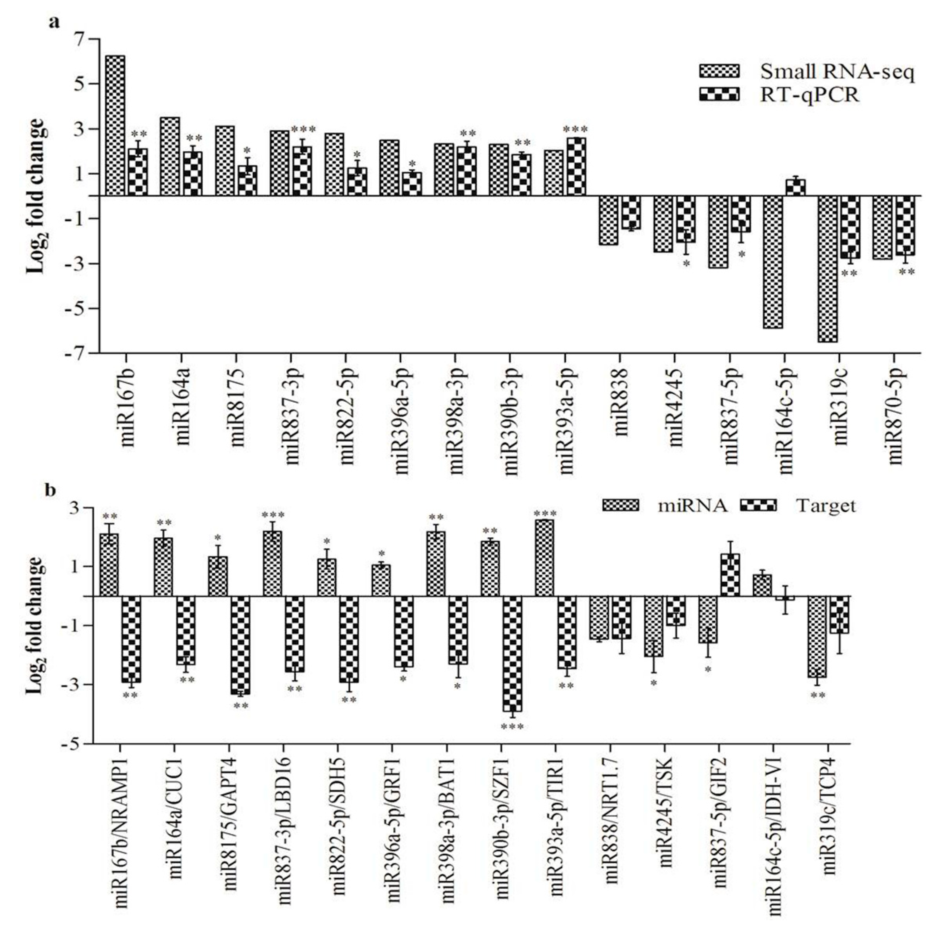 Ijms 21 05468 g005 Ijms 21 05468 g005