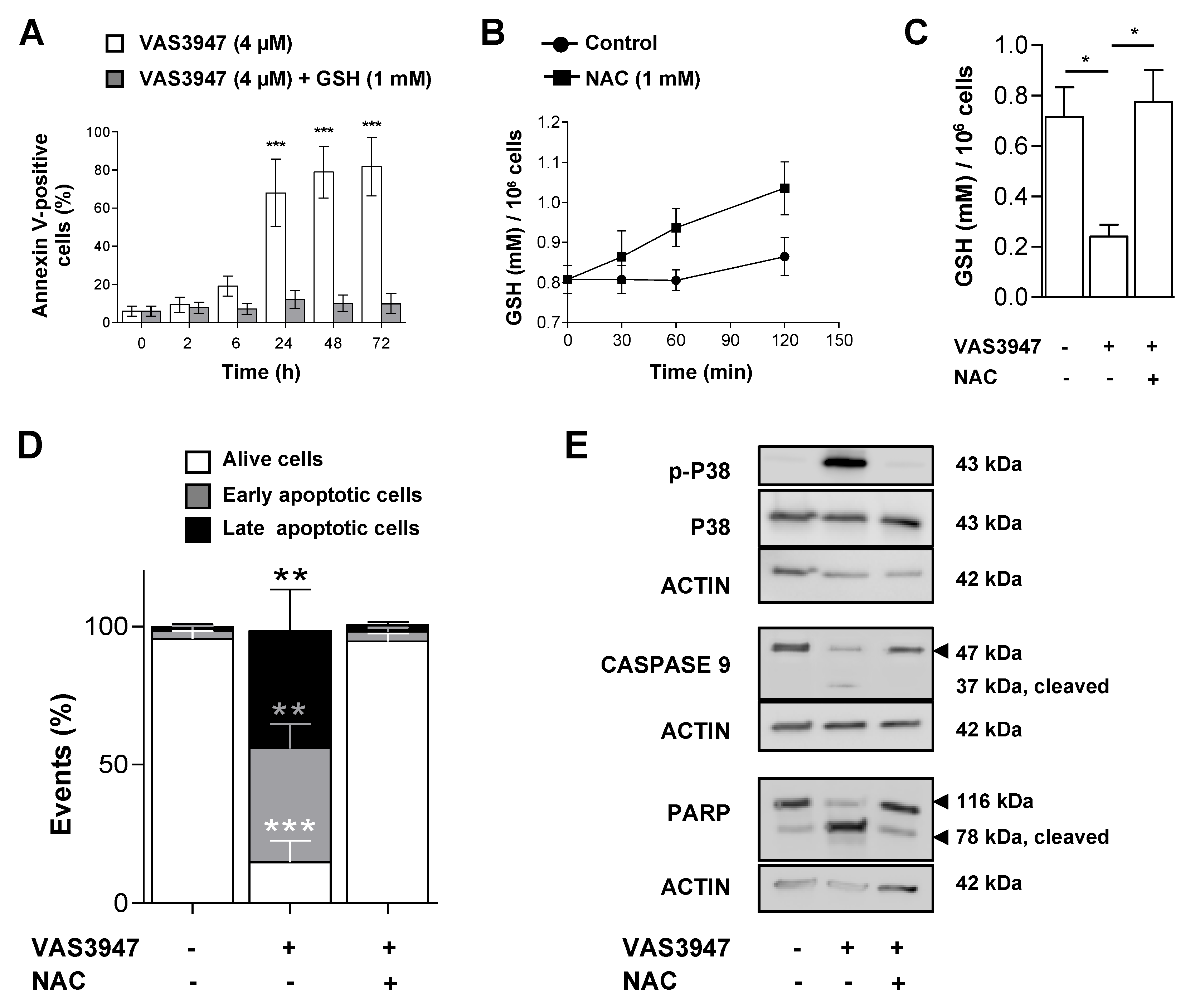 Ijms 21 05470 g008 Ijms 21 05470 g008