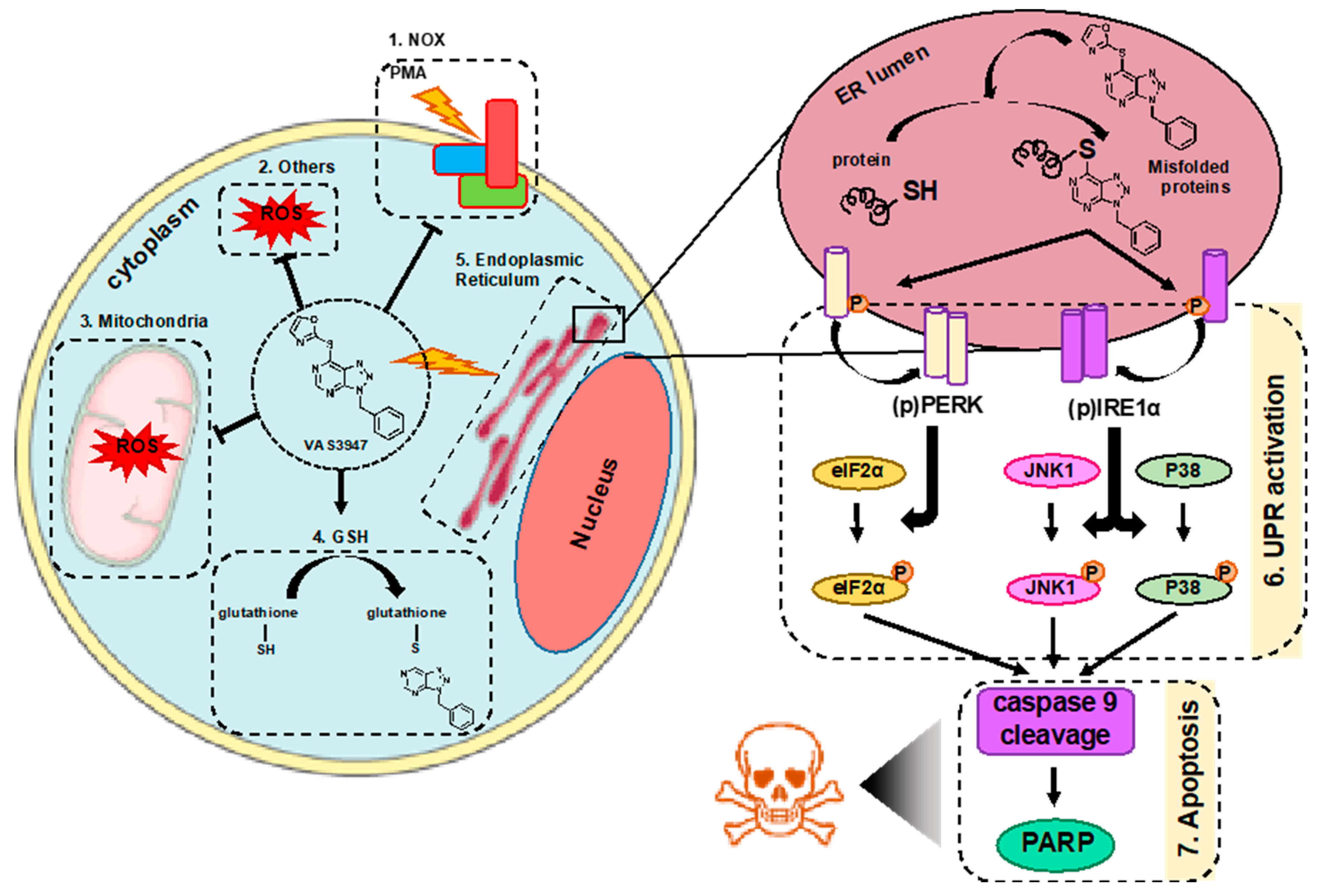 Ijms 21 05470 g009 Ijms 21 05470 g009