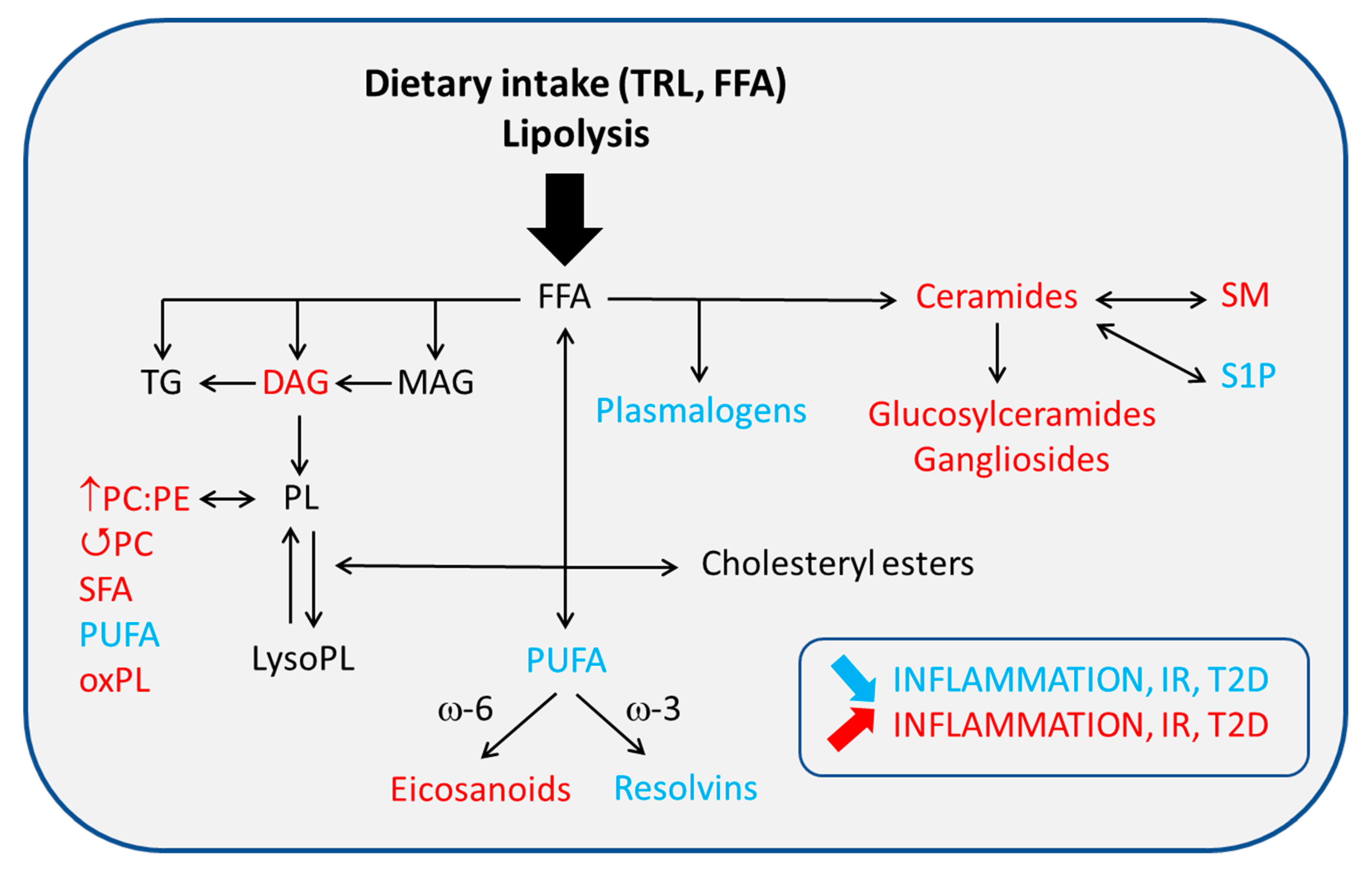 Ijms 21 05505 g002 Ijms 21 05505 g002
