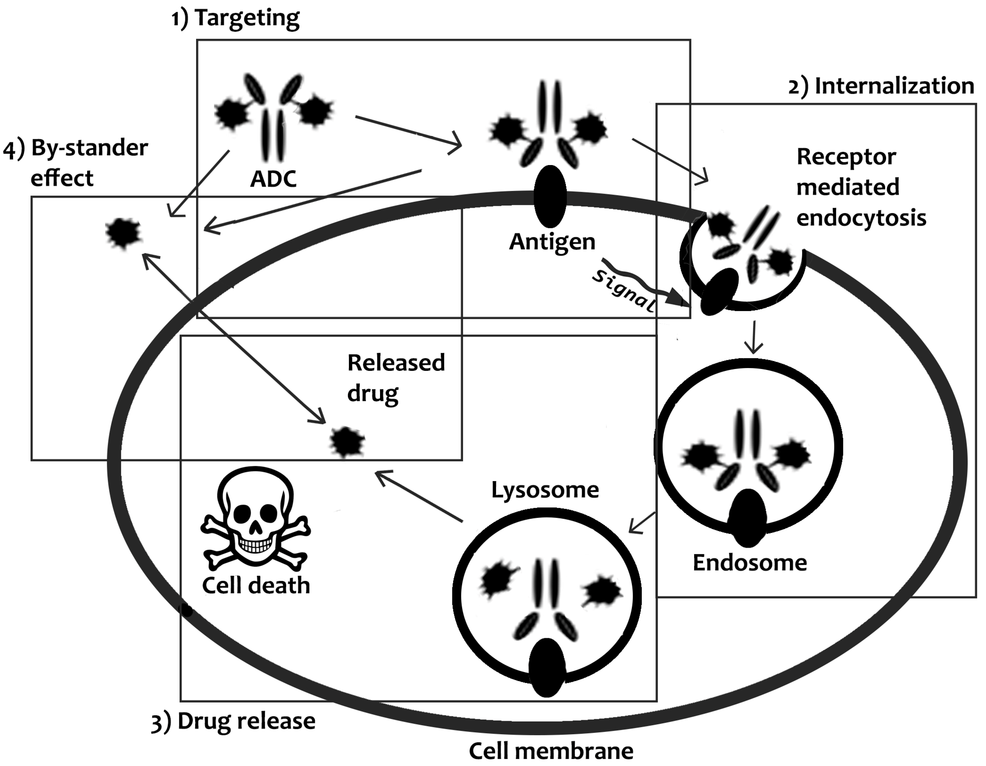 Ijms 21 05510 g002 Ijms 21 05510 g002