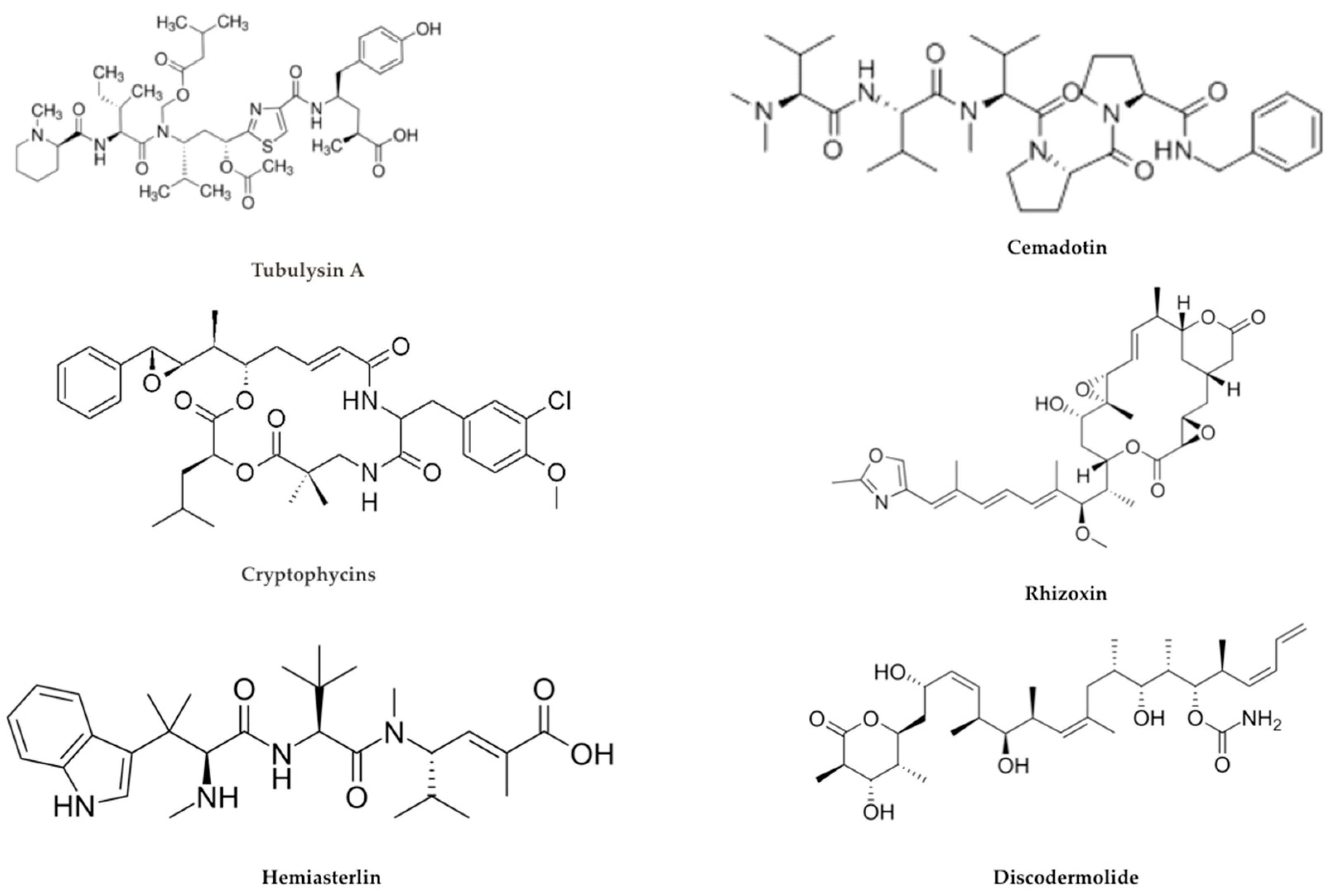 Ijms 21 05510 g007 Ijms 21 05510 g007