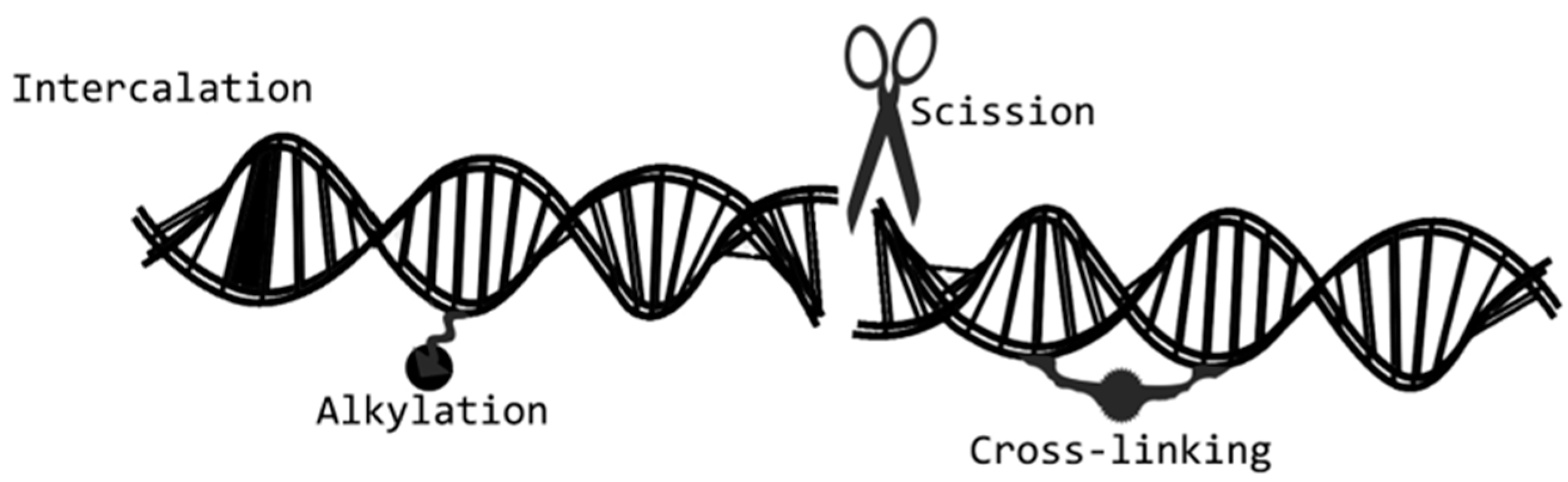 Ijms 21 05510 g008 Ijms 21 05510 g008