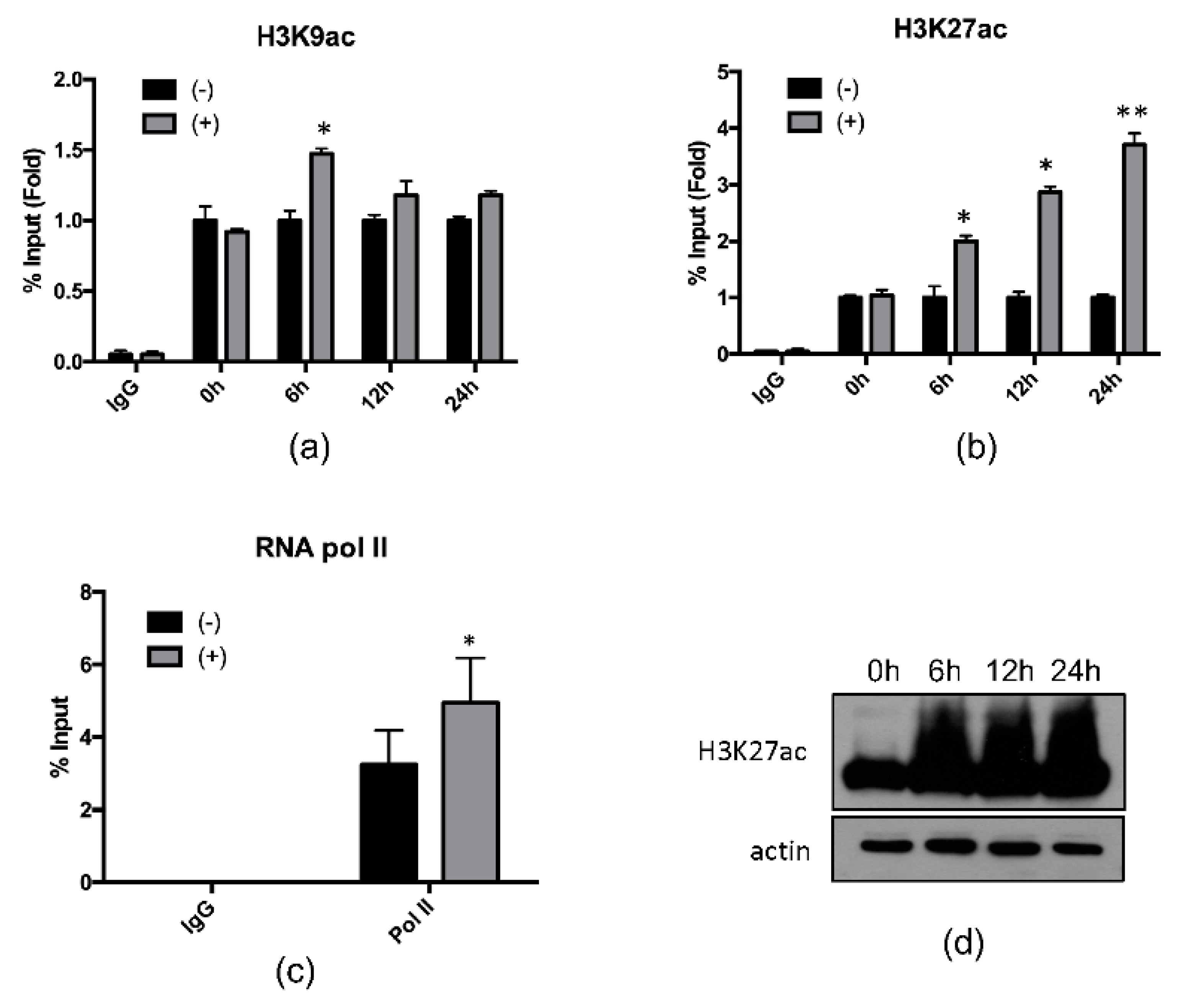 Ijms 21 05516 g003 Ijms 21 05516 g003