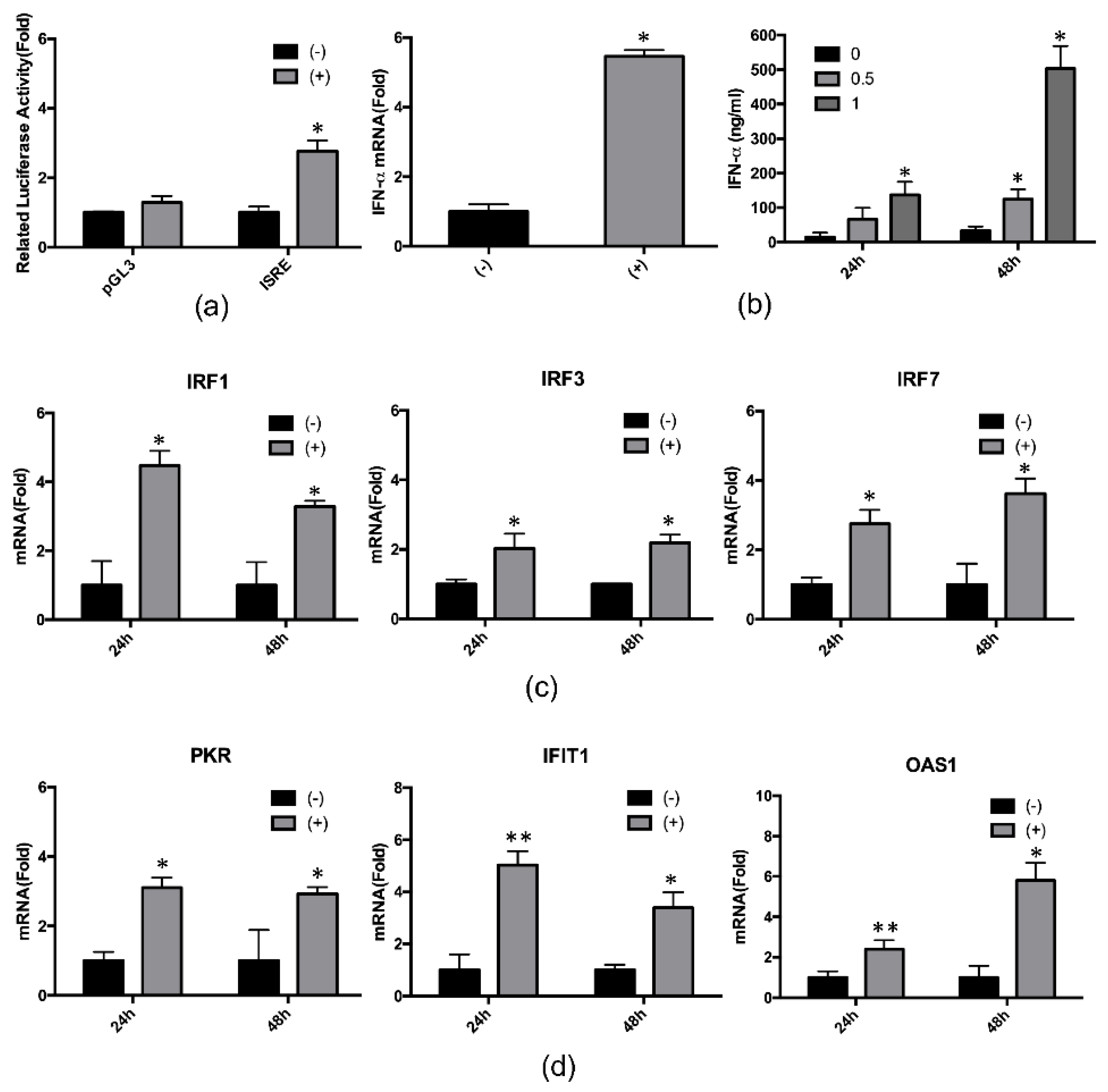 Ijms 21 05516 g004 Ijms 21 05516 g004