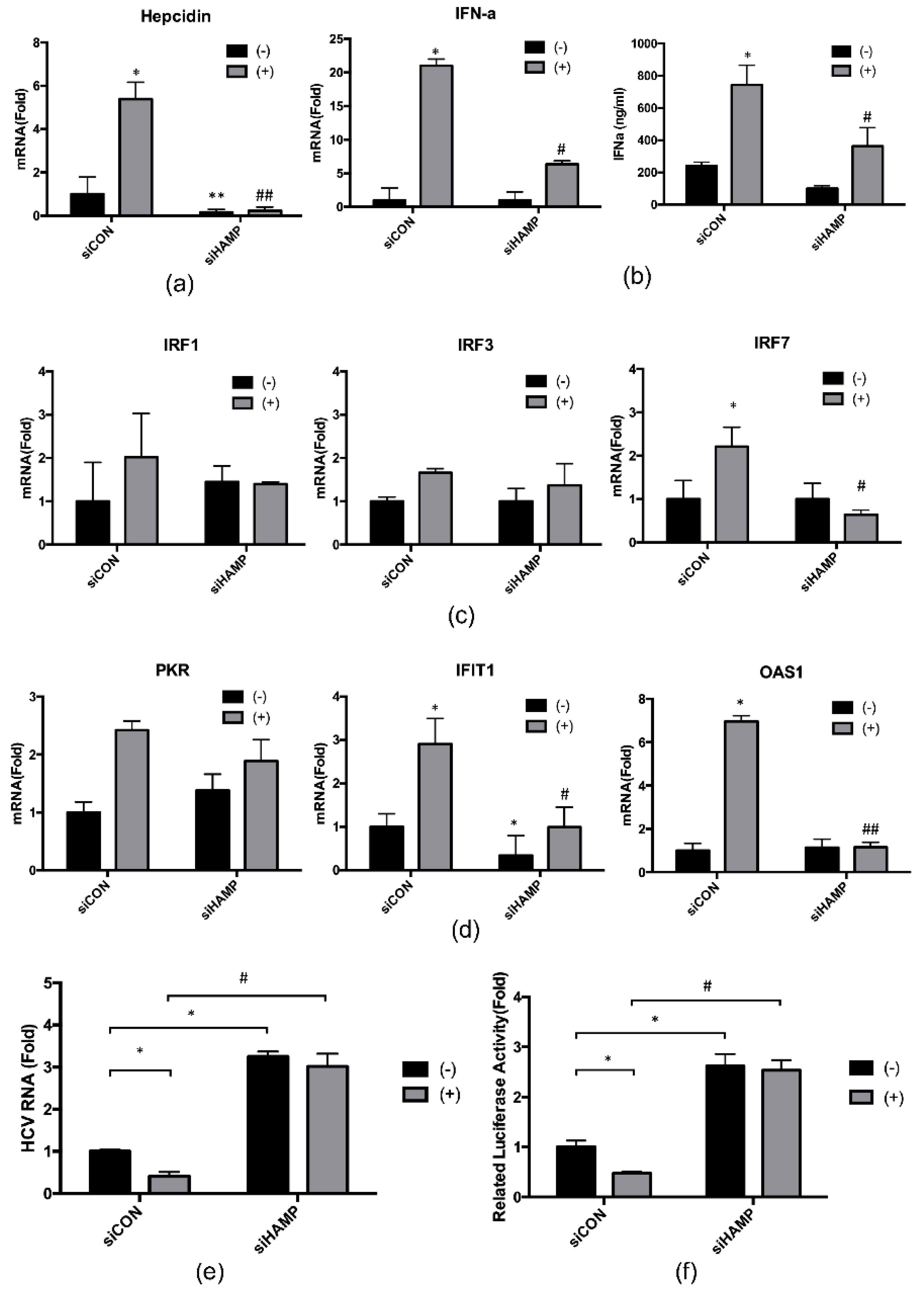 Ijms 21 05516 g005 Ijms 21 05516 g005