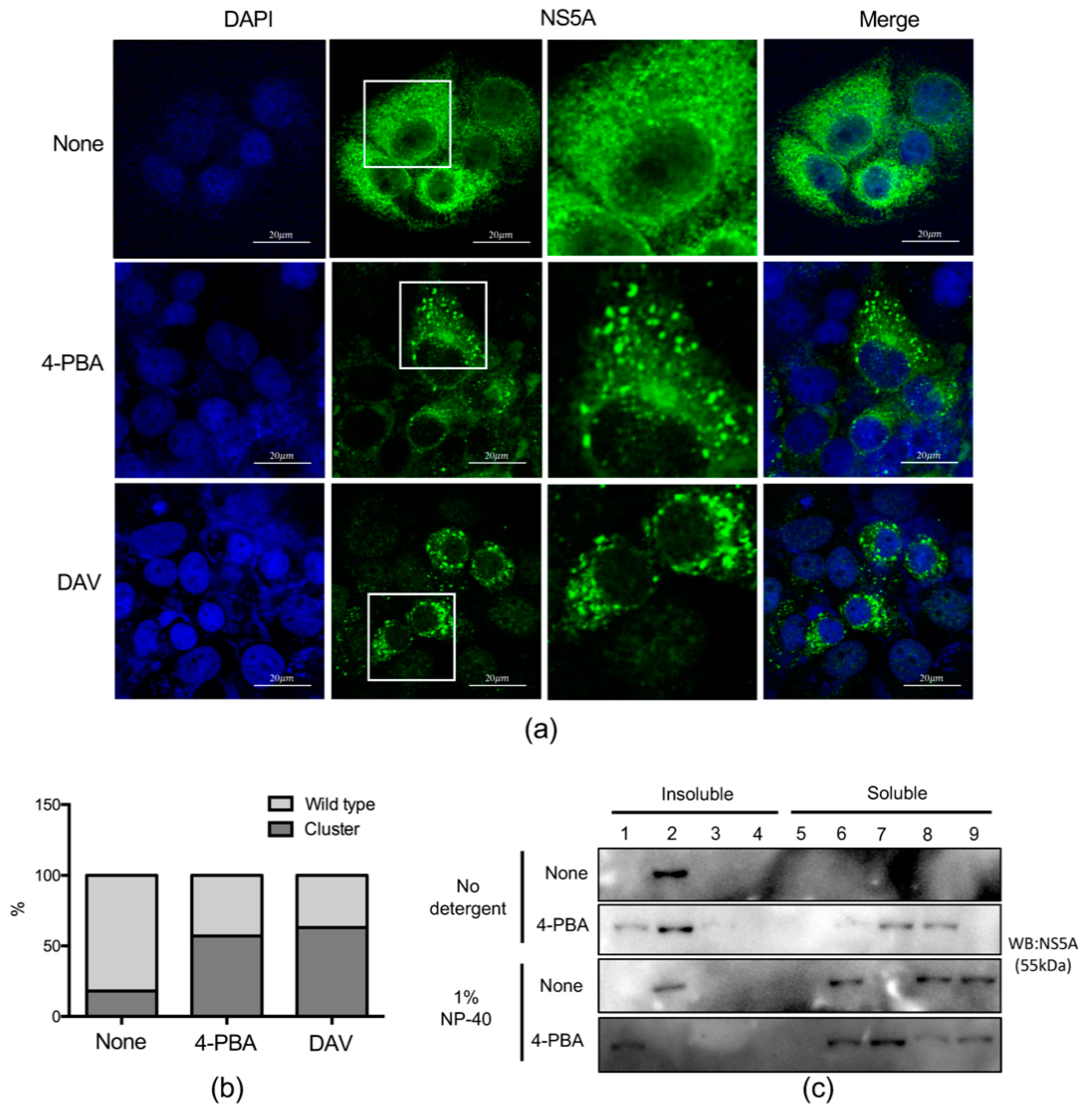 Ijms 21 05516 g006 Ijms 21 05516 g006
