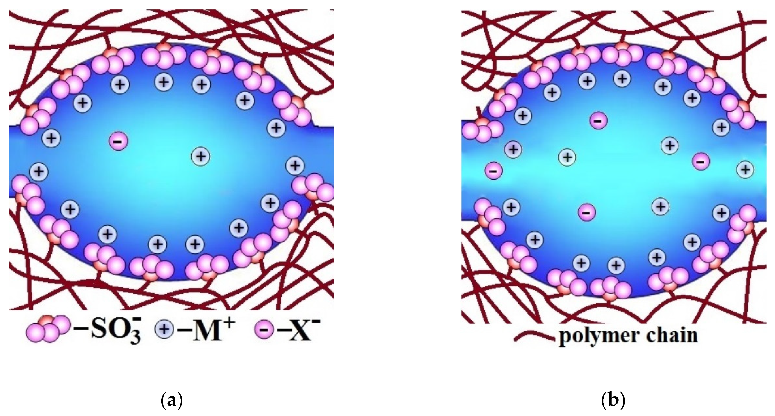 Ijms 21 05517 g002 Ijms 21 05517 g002