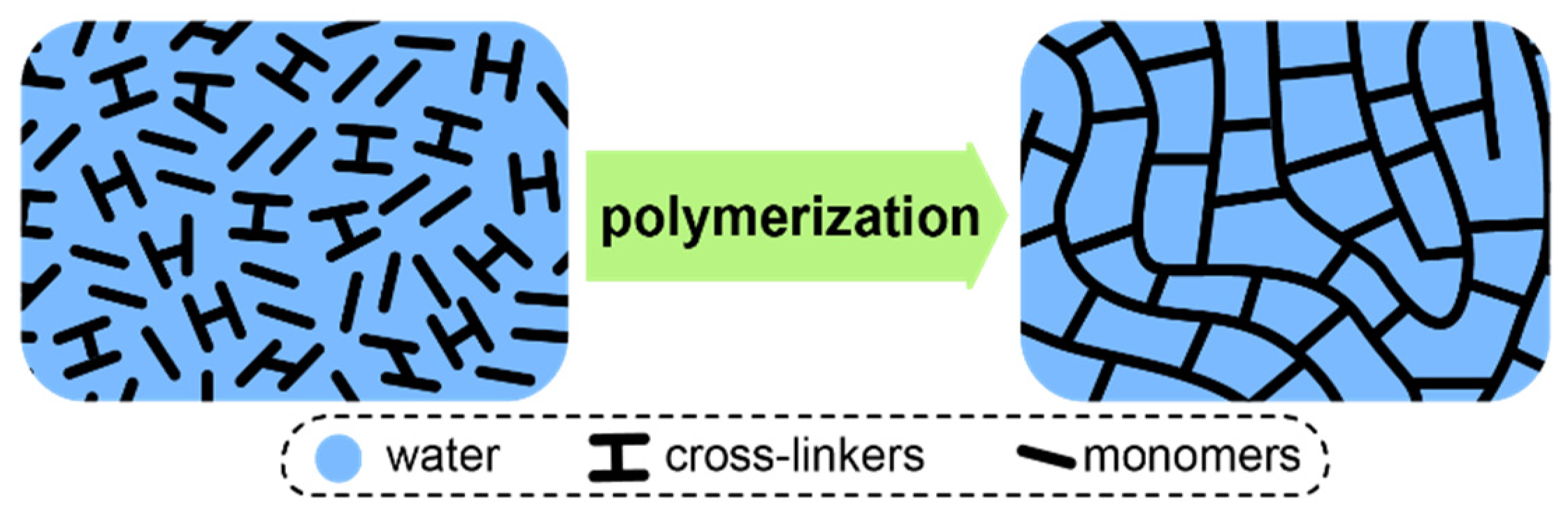 Ijms 21 05517 g005 Ijms 21 05517 g005