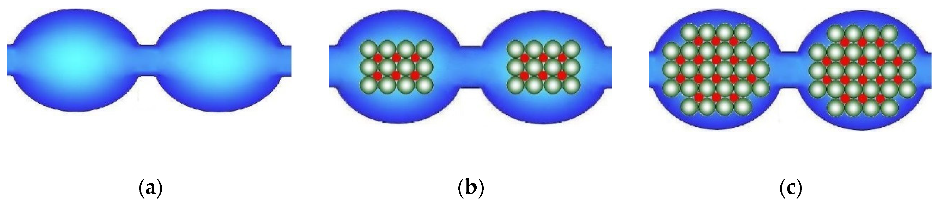 Ijms 21 05517 g006 Ijms 21 05517 g006