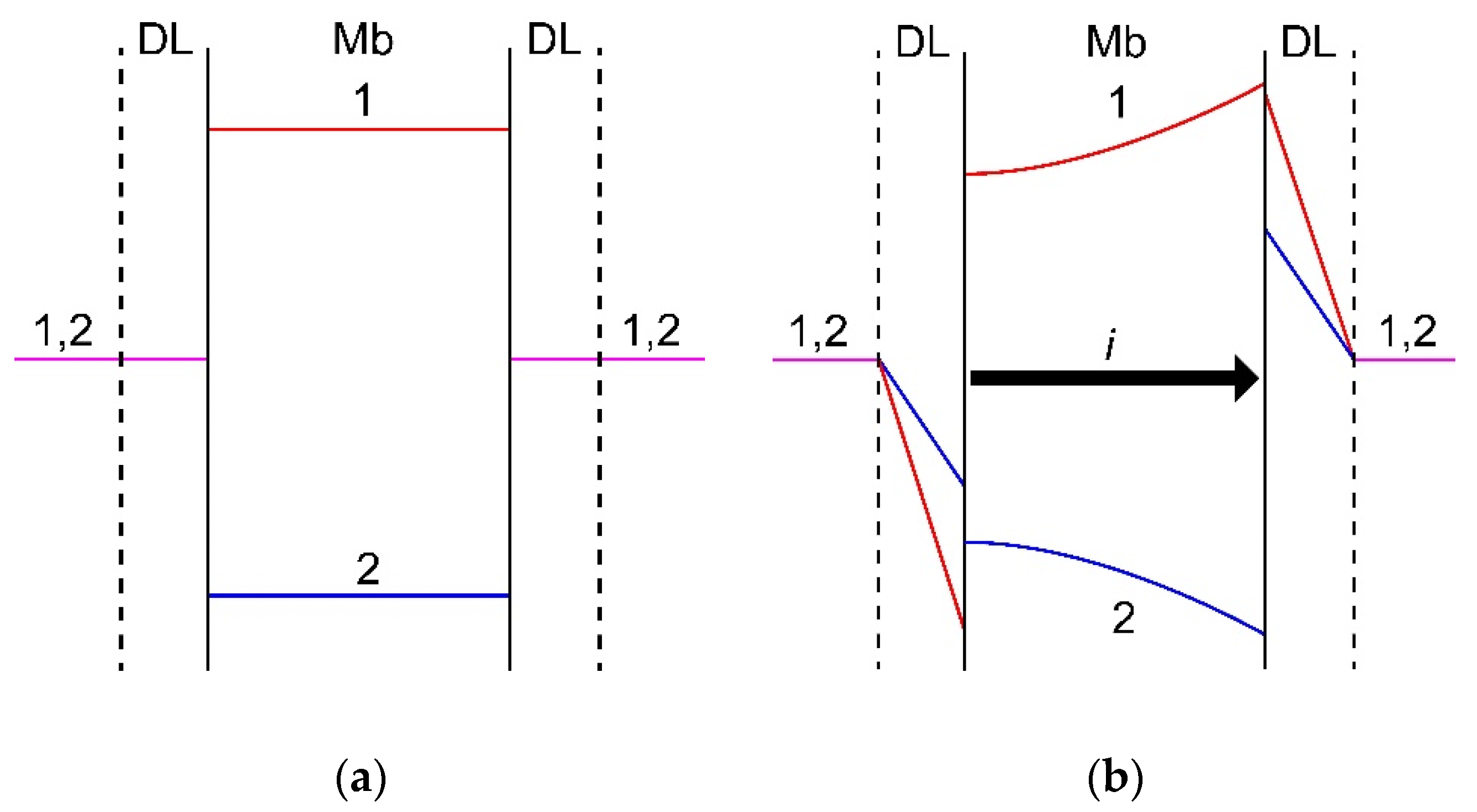 Ijms 21 05517 g008 Ijms 21 05517 g008