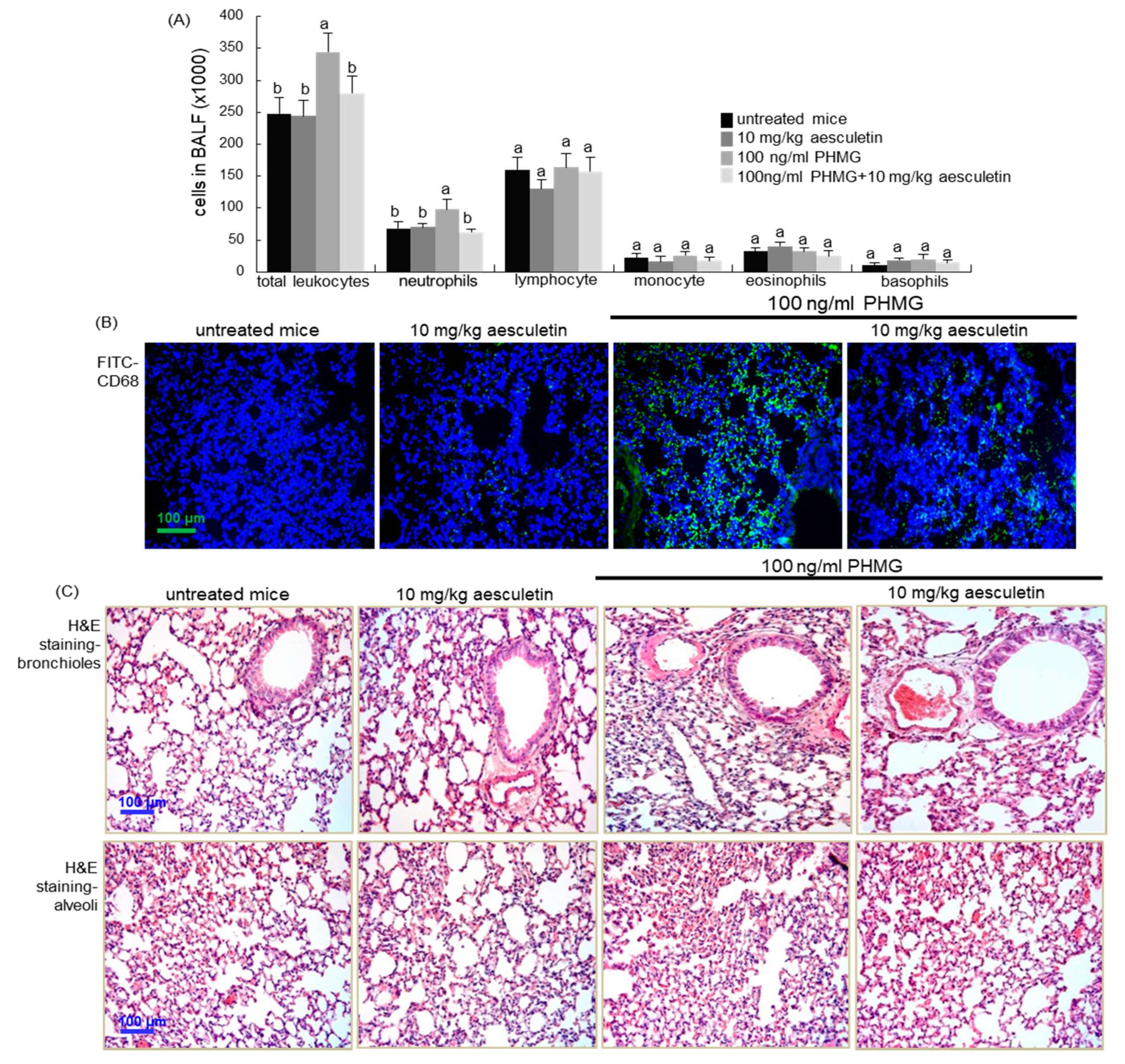 Ijms 21 05518 g006 Ijms 21 05518 g006