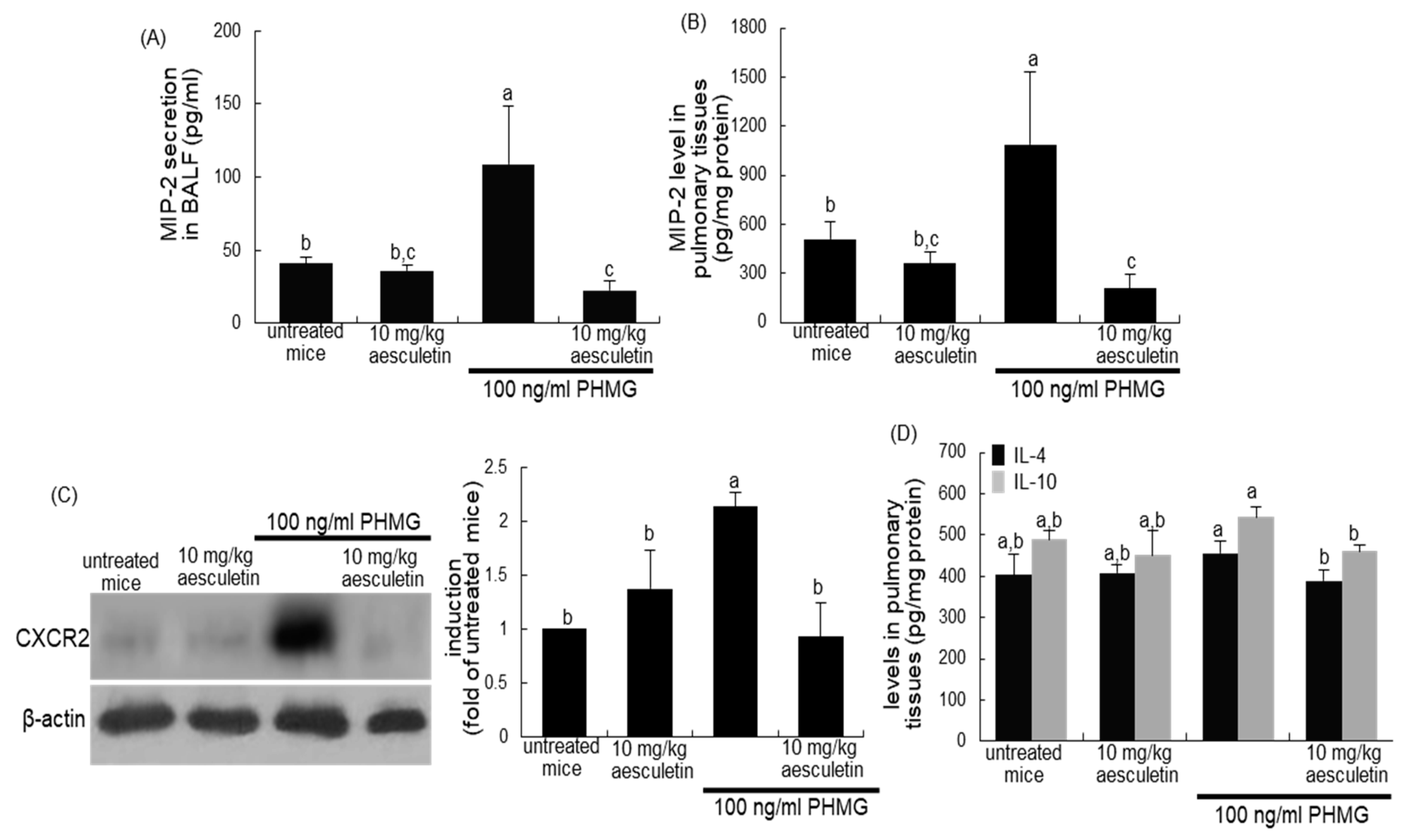 Ijms 21 05518 g007 Ijms 21 05518 g007