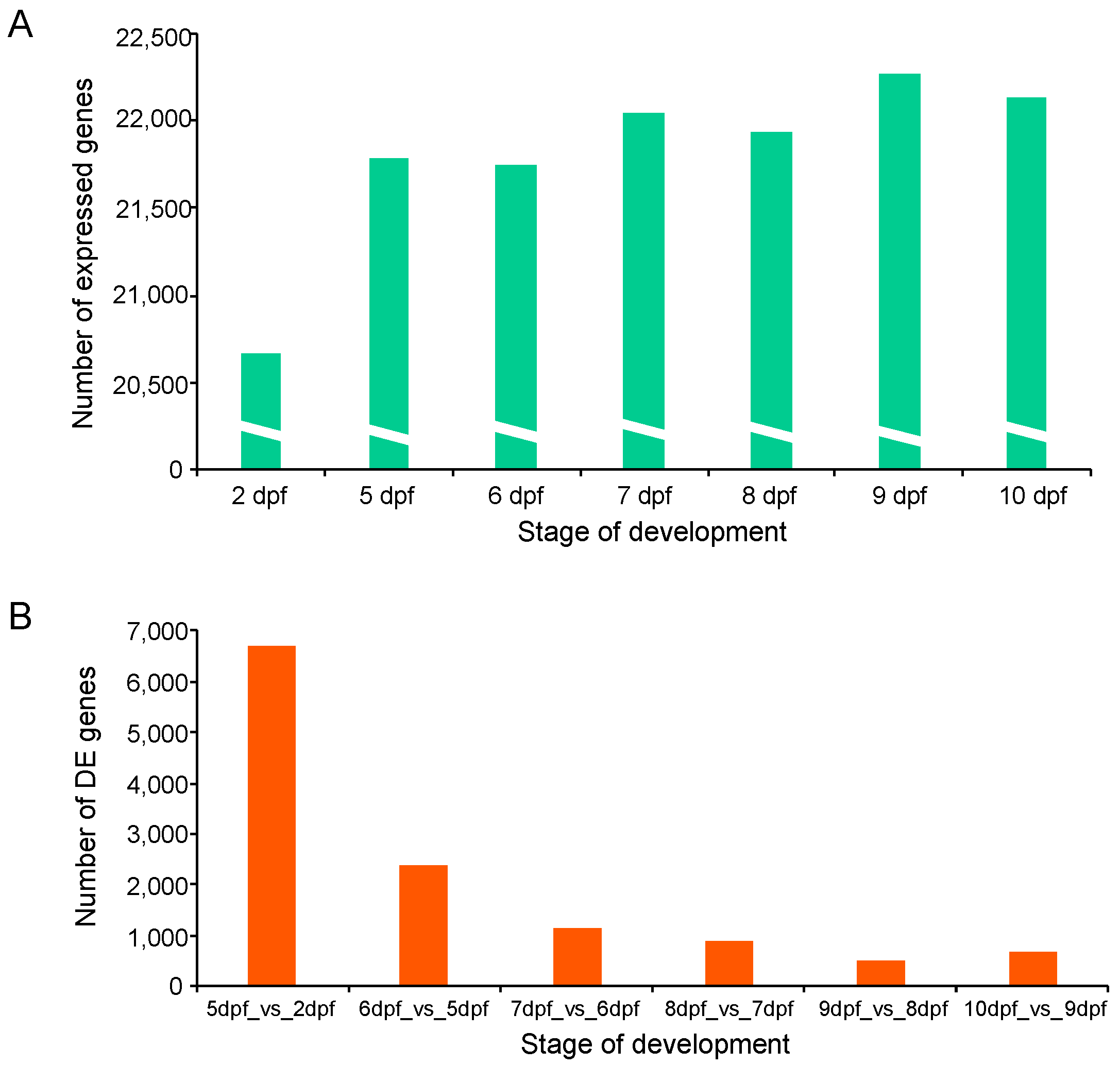 Ijms 21 05535 g002 Ijms 21 05535 g002