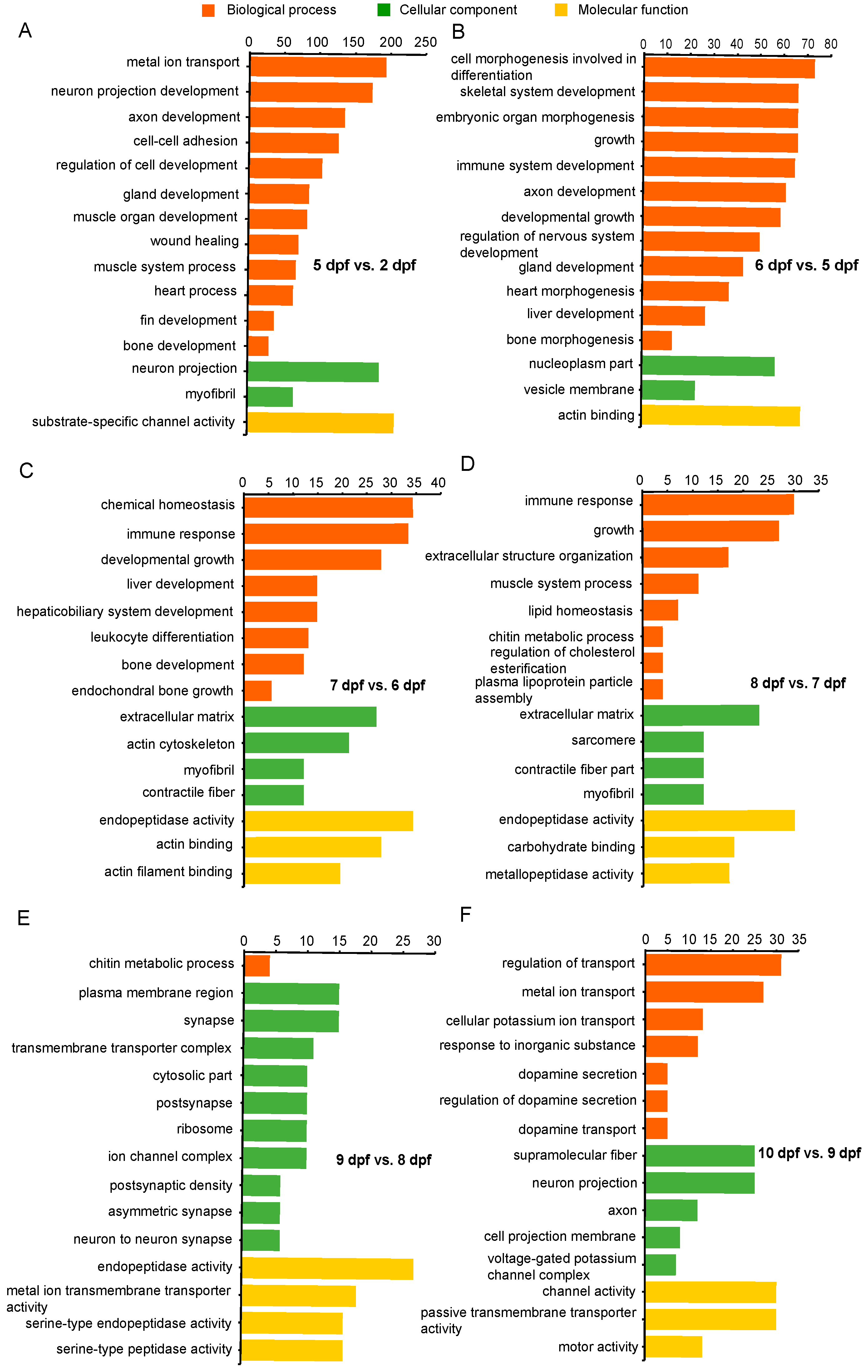 Ijms 21 05535 g004 Ijms 21 05535 g004