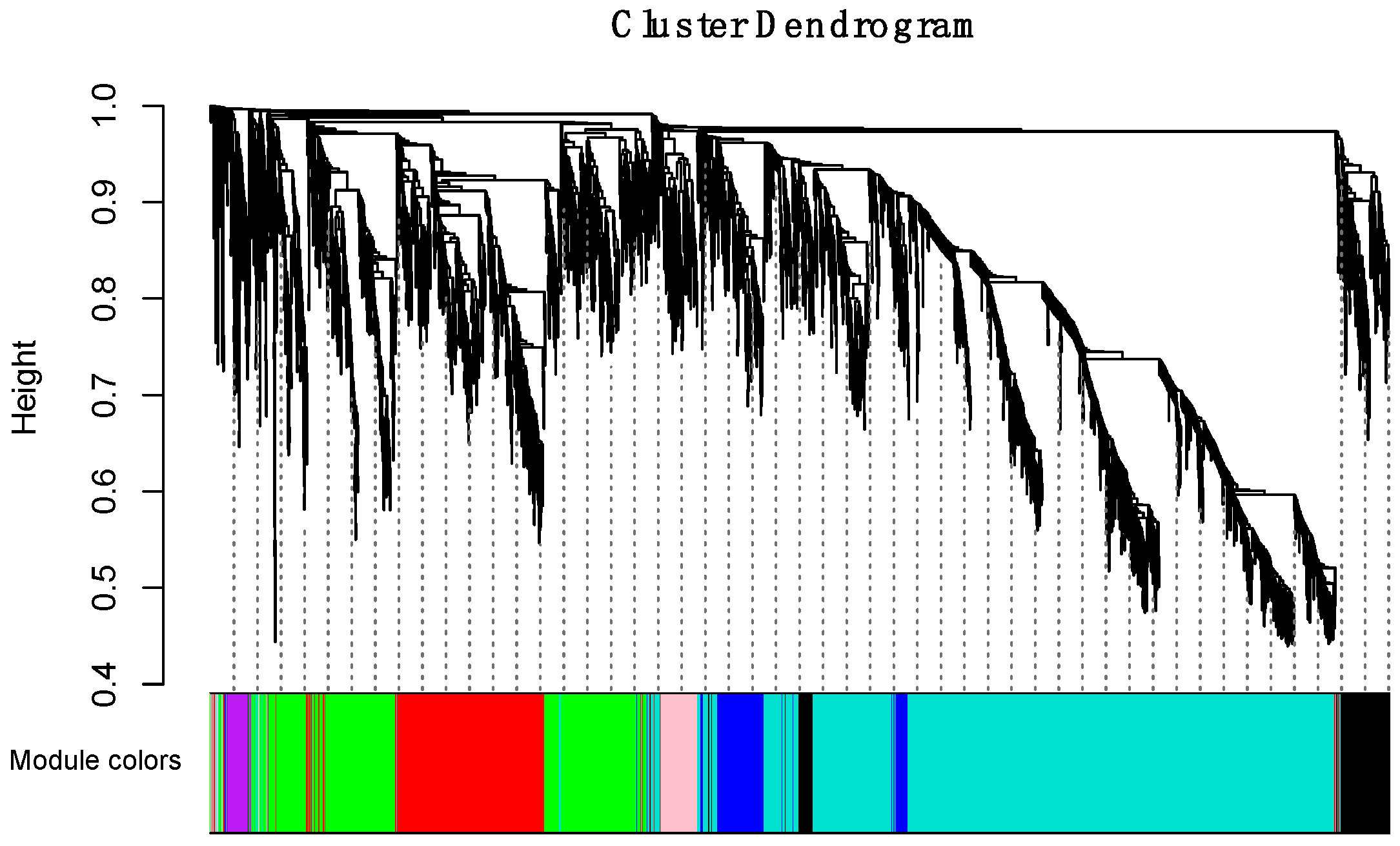 Ijms 21 05535 g005 Ijms 21 05535 g005