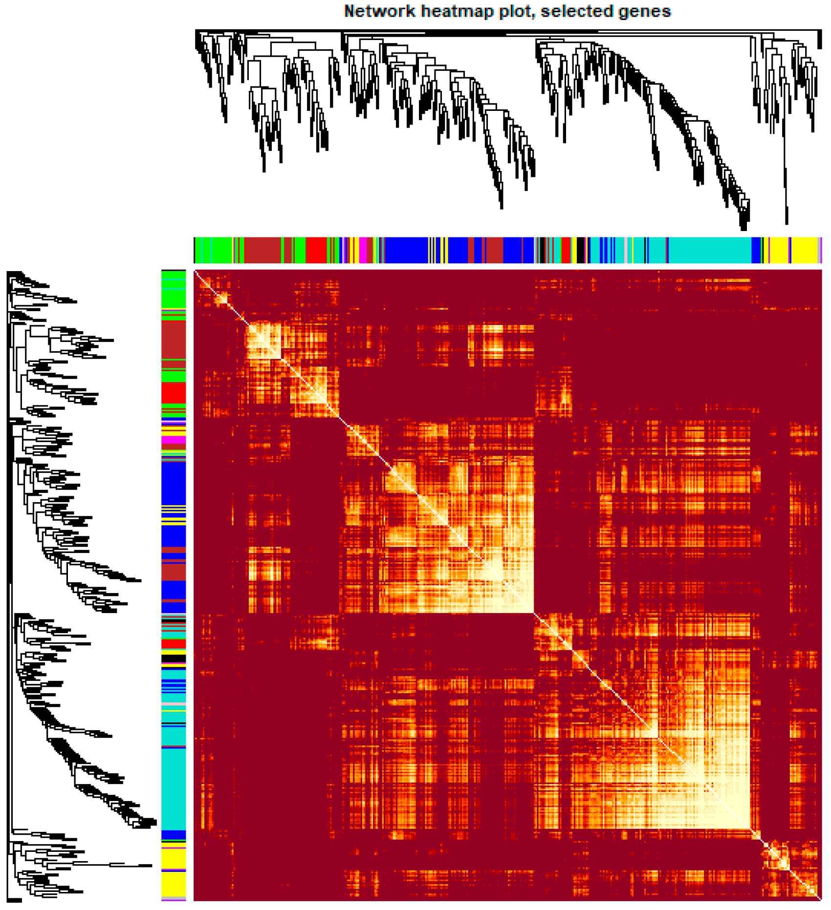 Ijms 21 05535 g006 Ijms 21 05535 g006