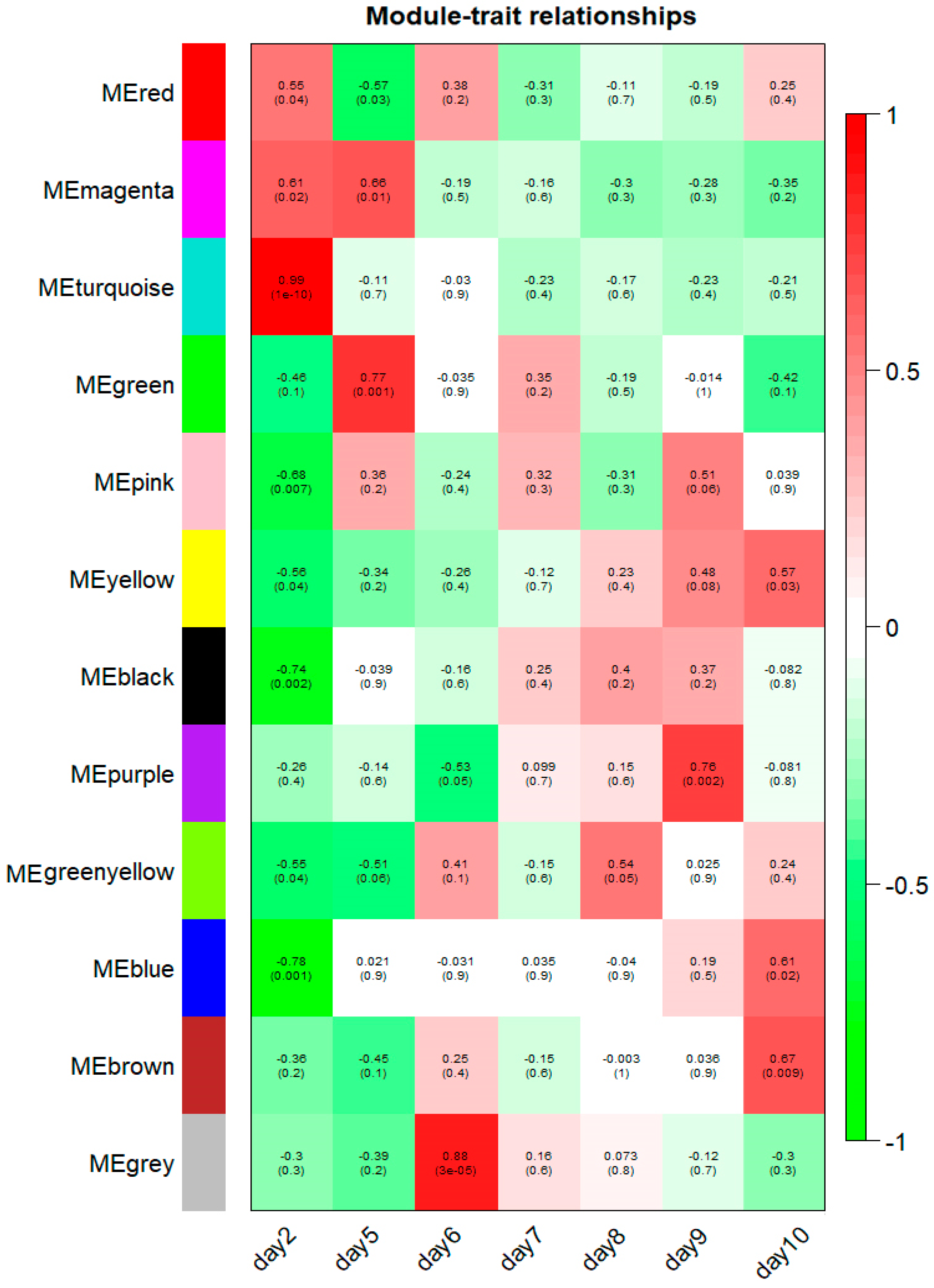 Ijms 21 05535 g007 Ijms 21 05535 g007