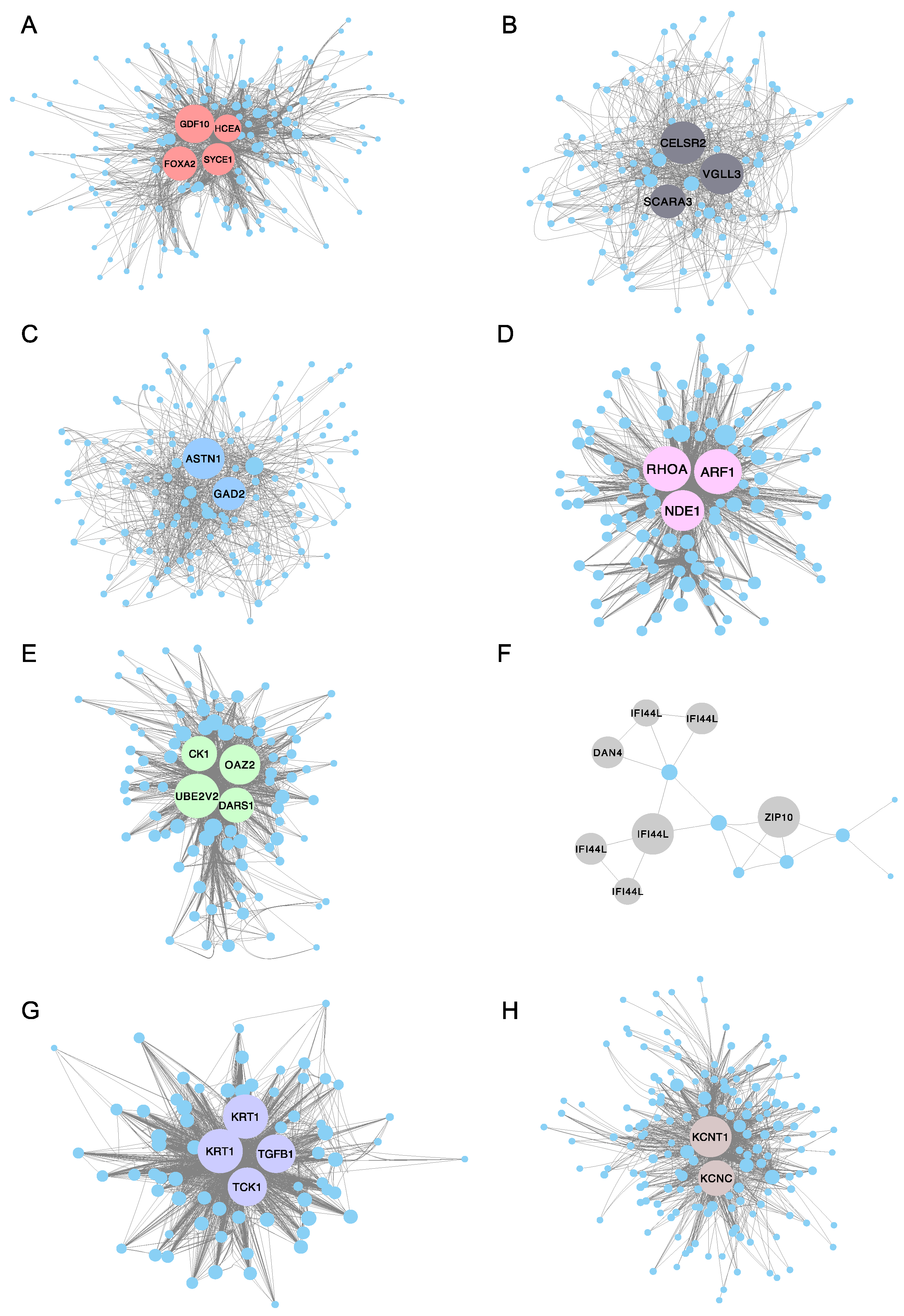 Ijms 21 05535 g008 Ijms 21 05535 g008