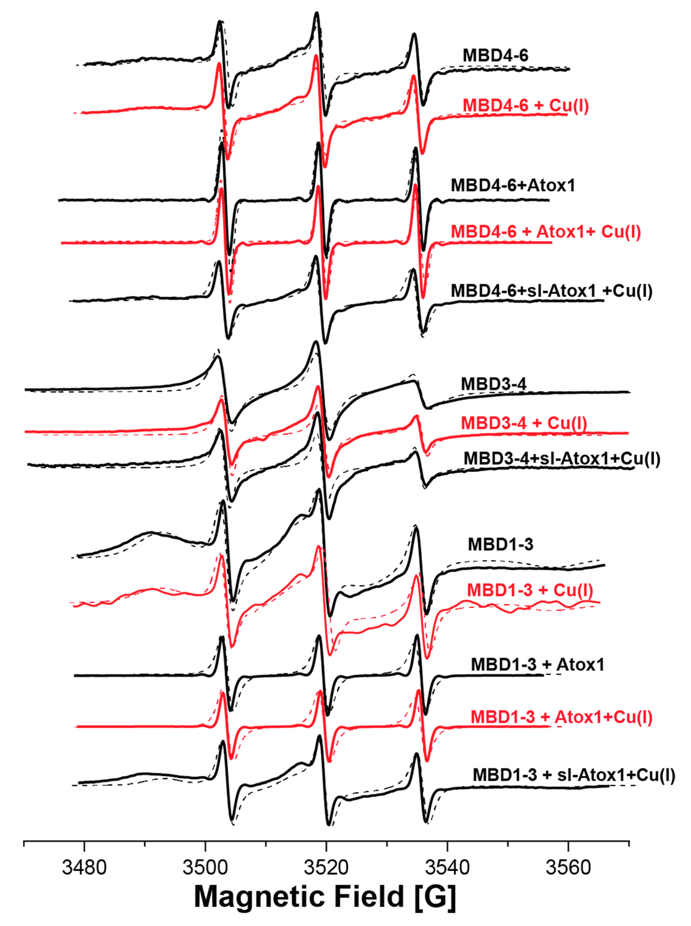 Ijms 21 05536 g003 Ijms 21 05536 g003