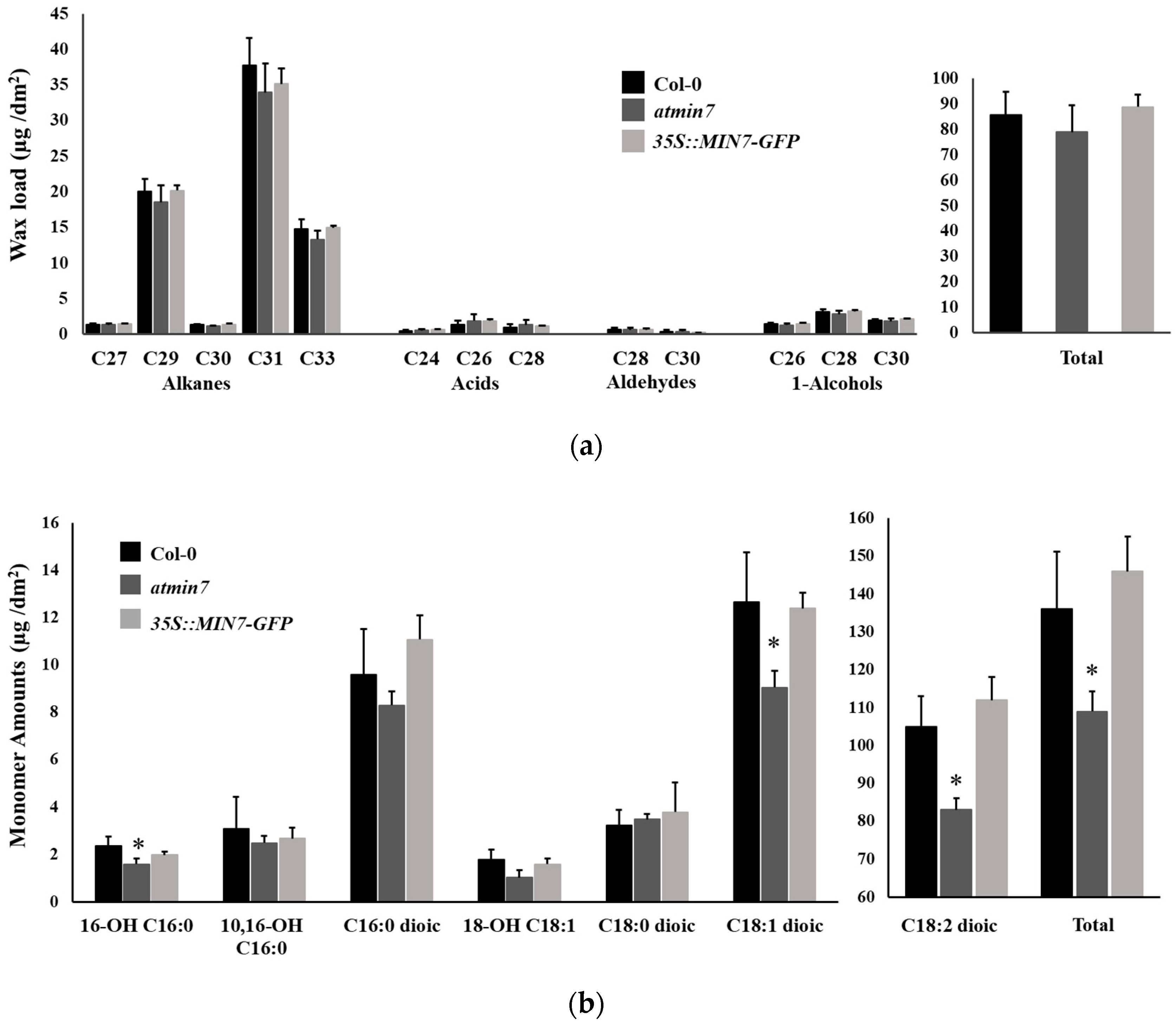 Ijms 21 05547 g004 Ijms 21 05547 g004