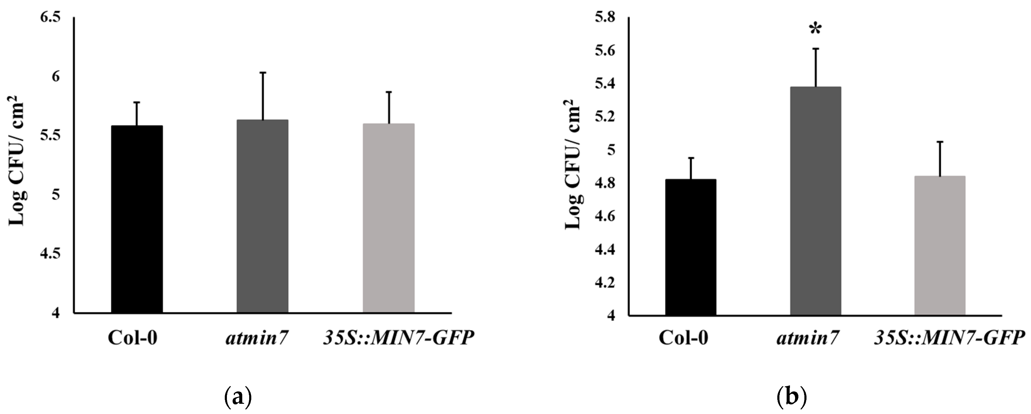 Ijms 21 05547 g005 Ijms 21 05547 g005