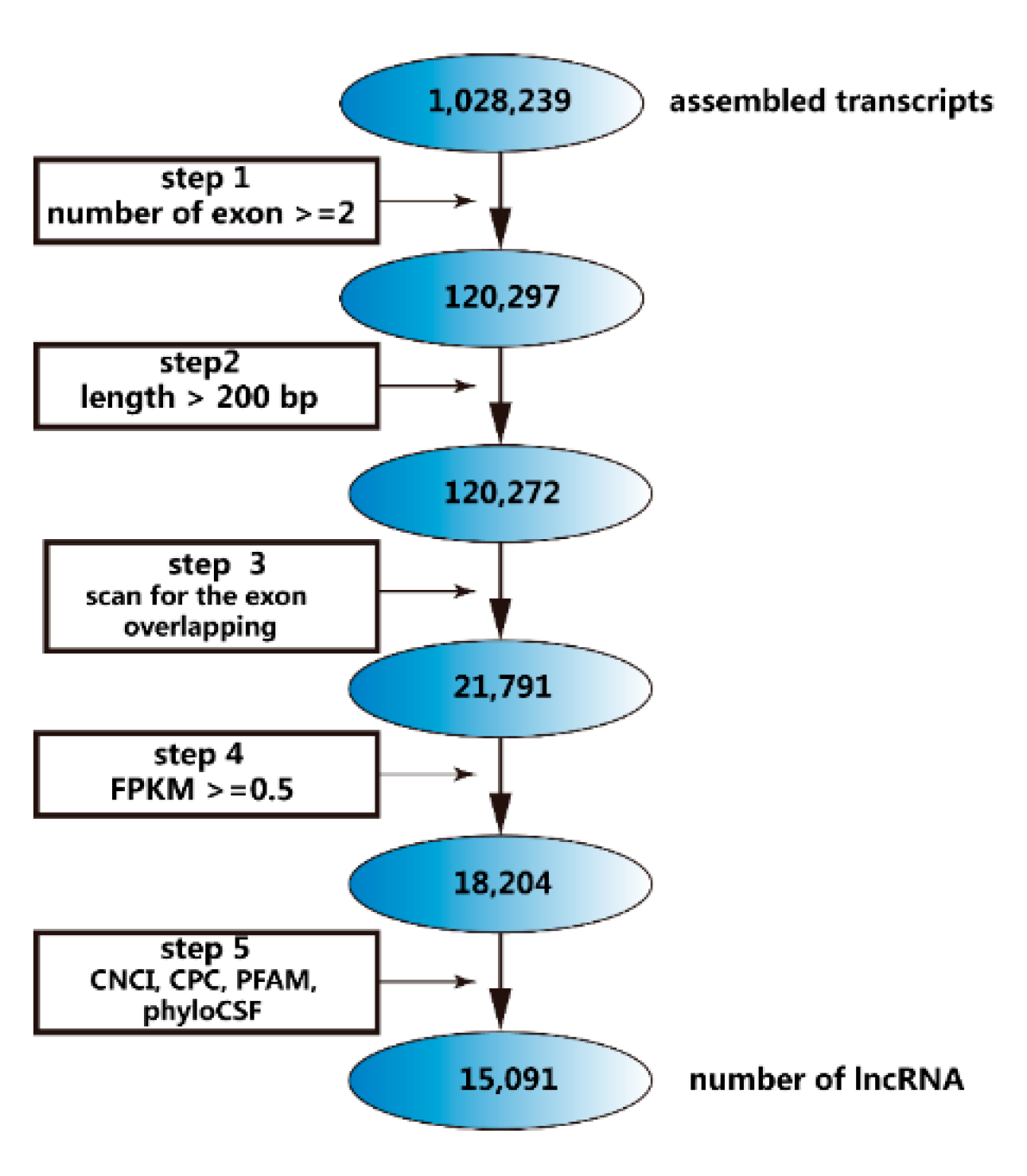 Ijms 21 05549 g001 Ijms 21 05549 g001