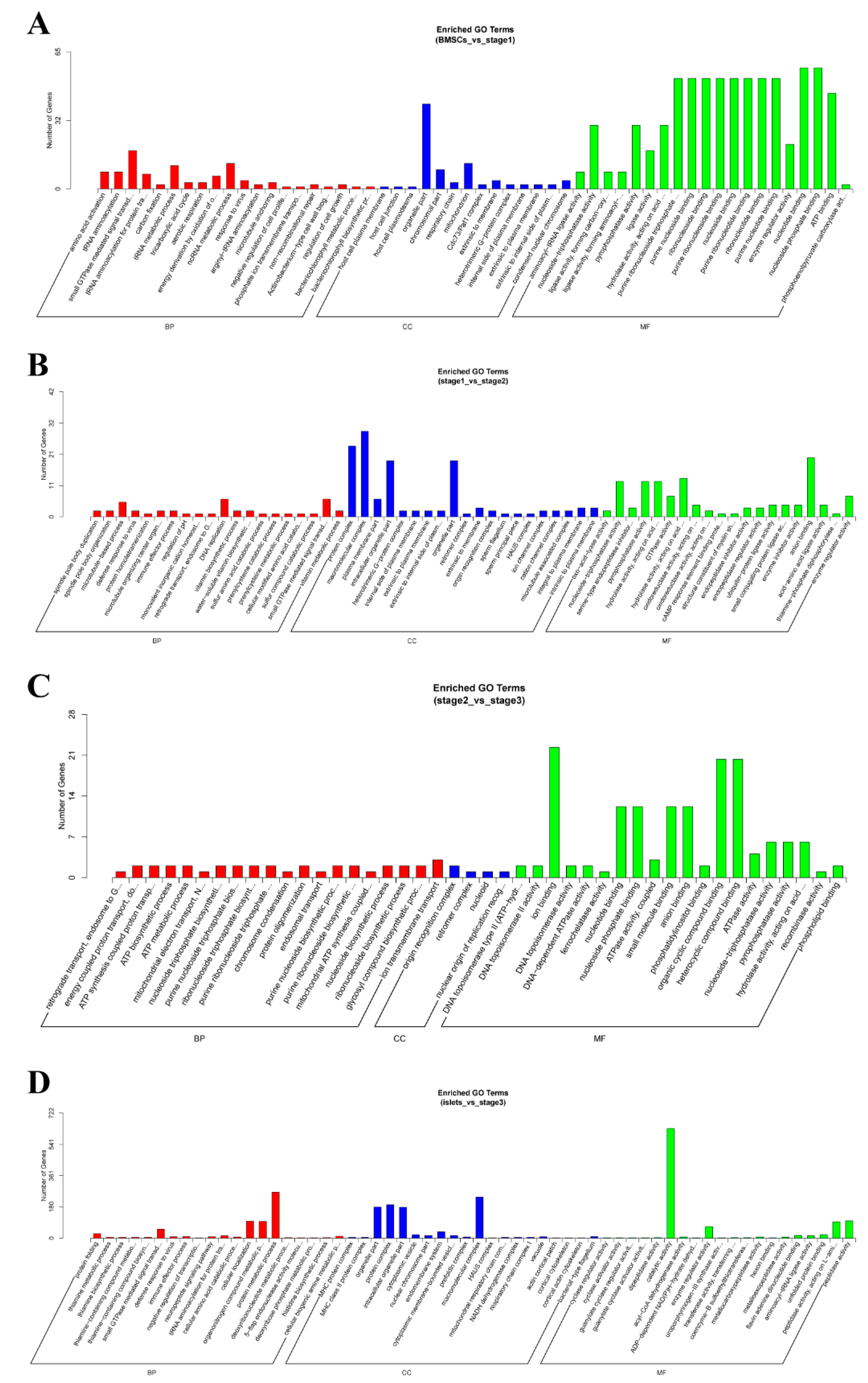 Ijms 21 05549 g004 Ijms 21 05549 g004