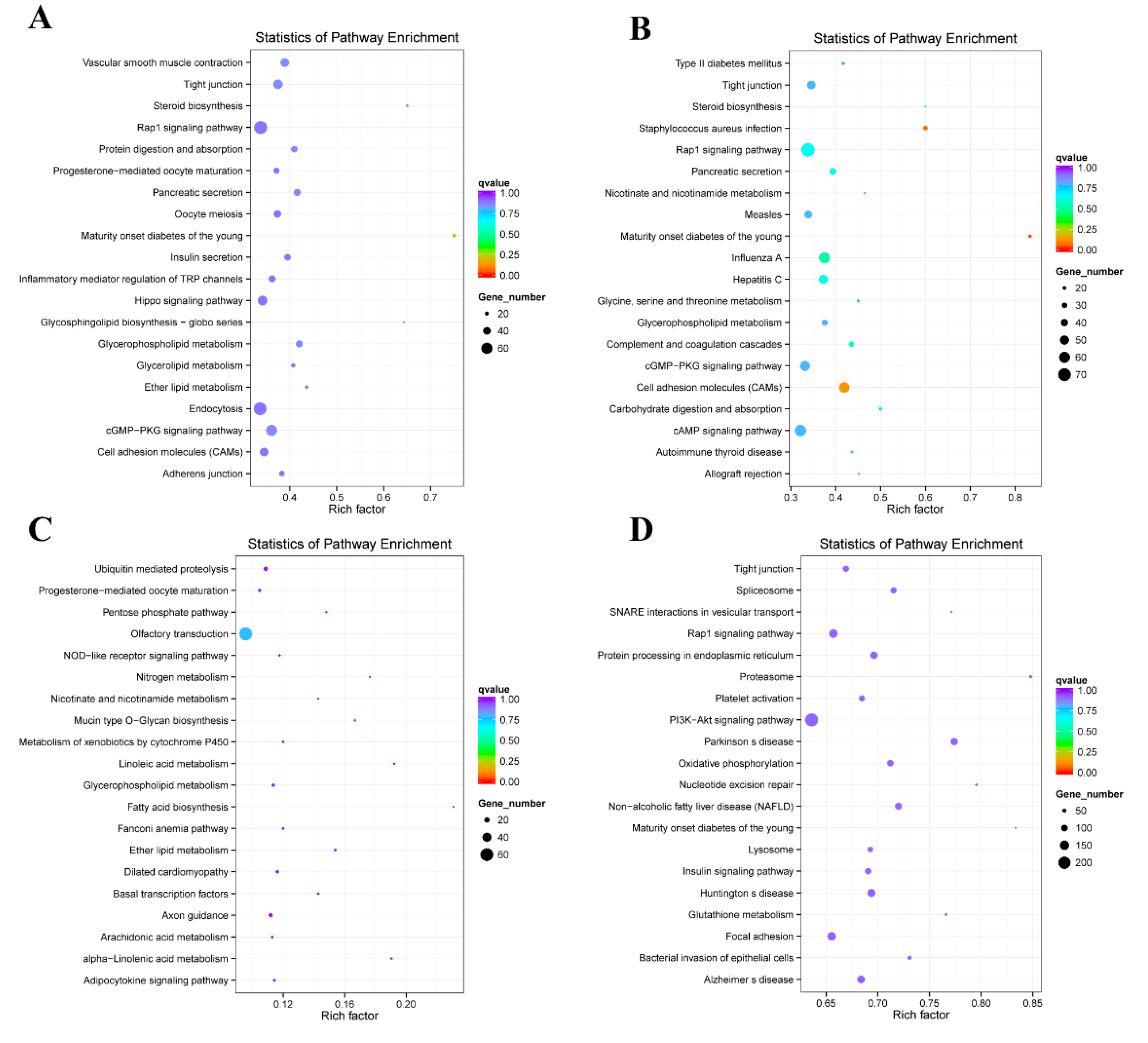 Ijms 21 05549 g007 Ijms 21 05549 g007