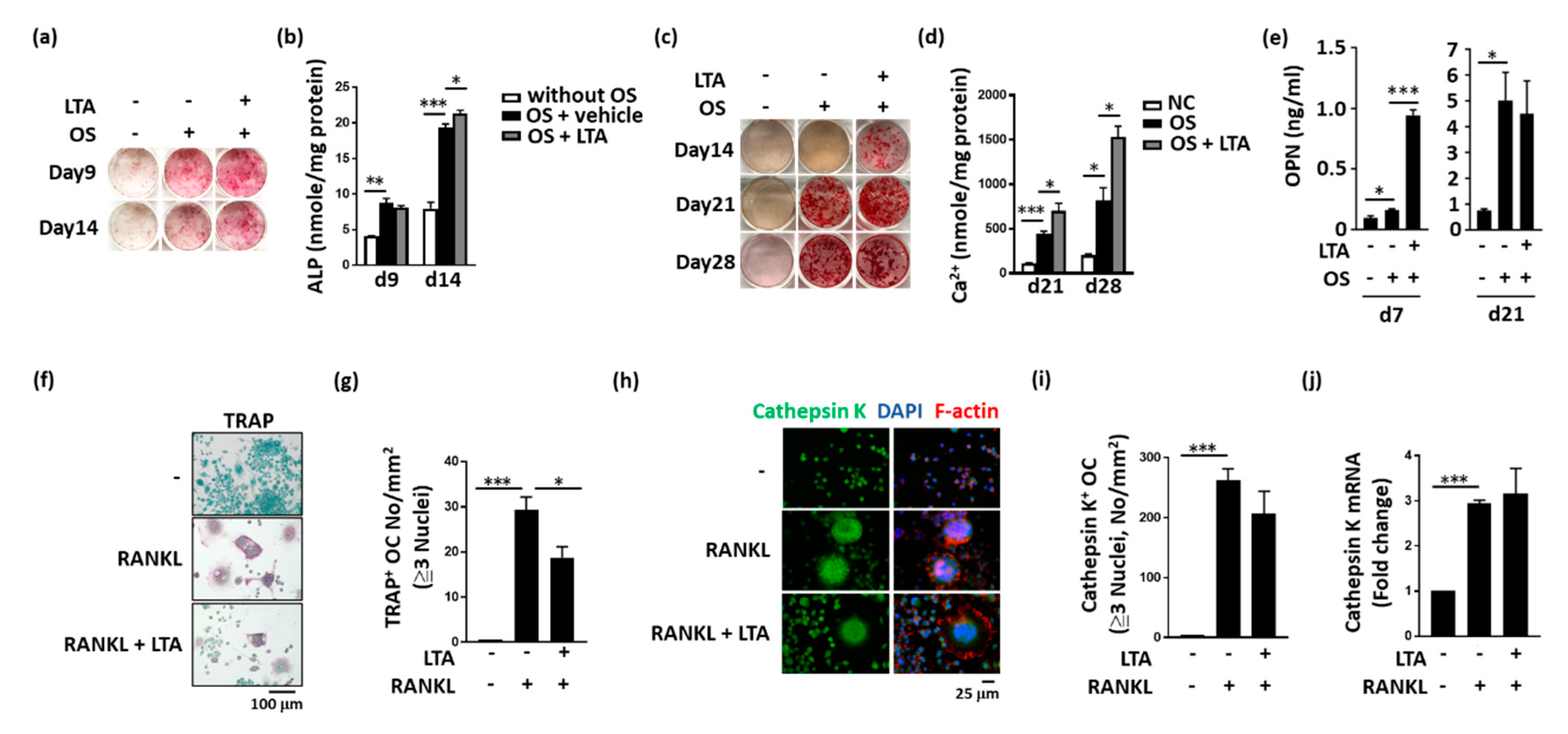 Ijms 21 05550 g003 Ijms 21 05550 g003