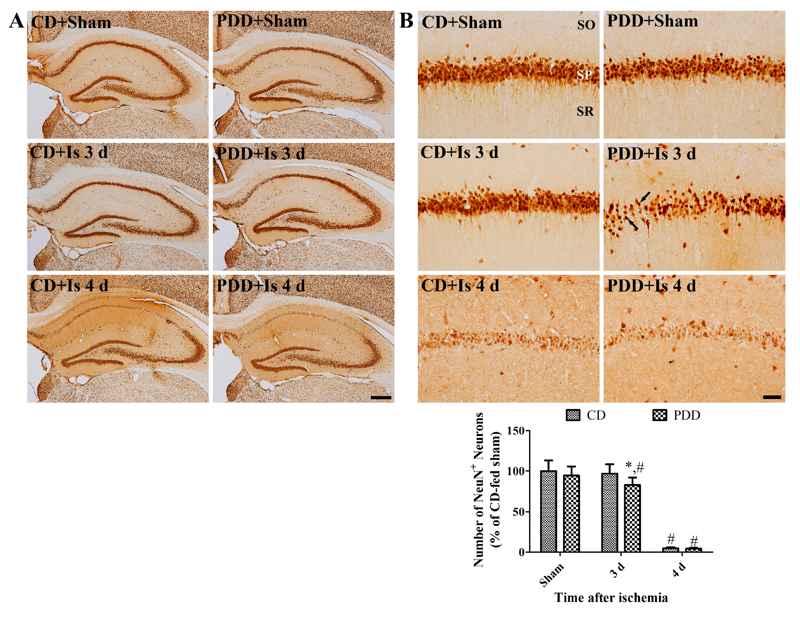 Ijms 21 05551 g002 Ijms 21 05551 g002