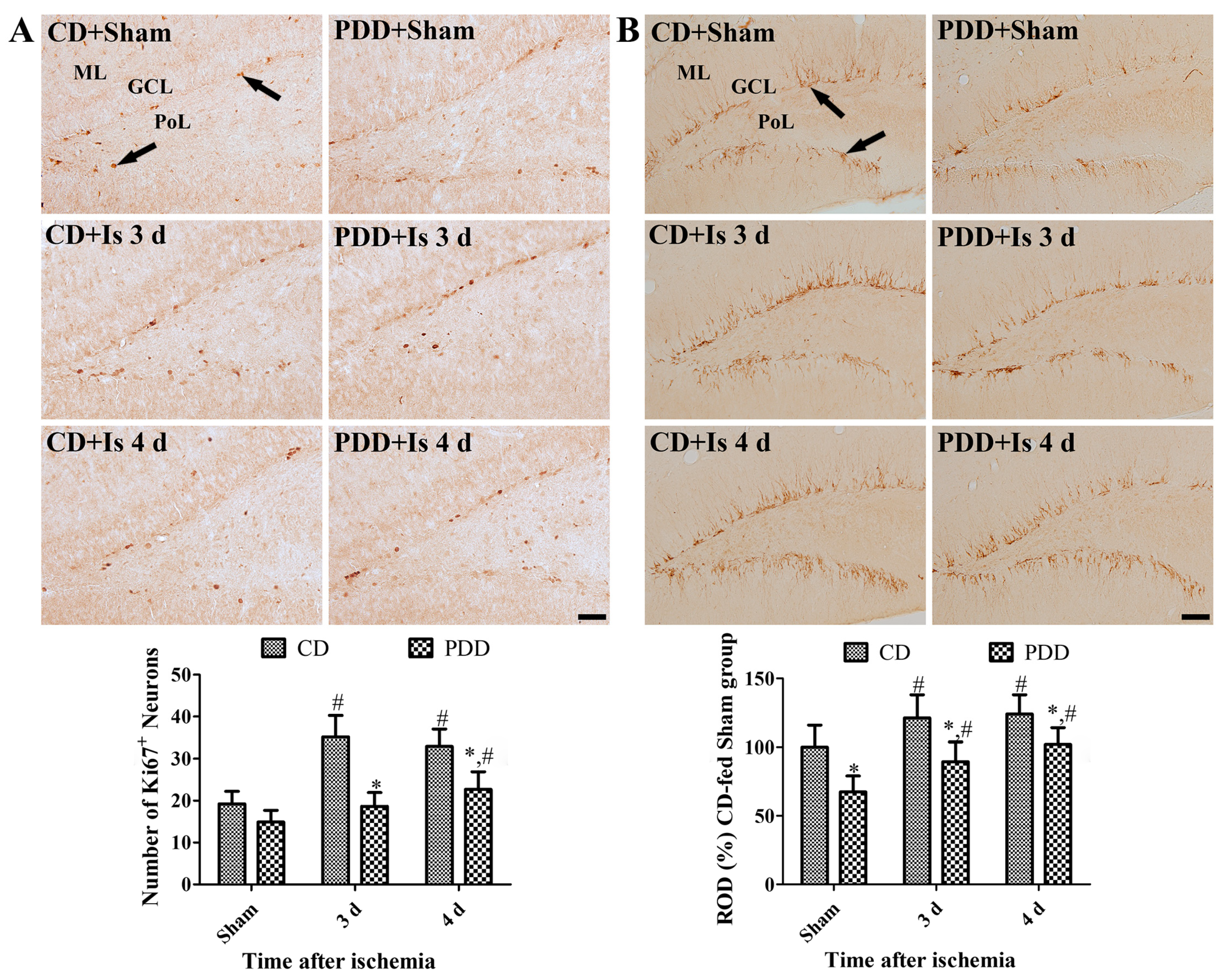 Ijms 21 05551 g004 Ijms 21 05551 g004