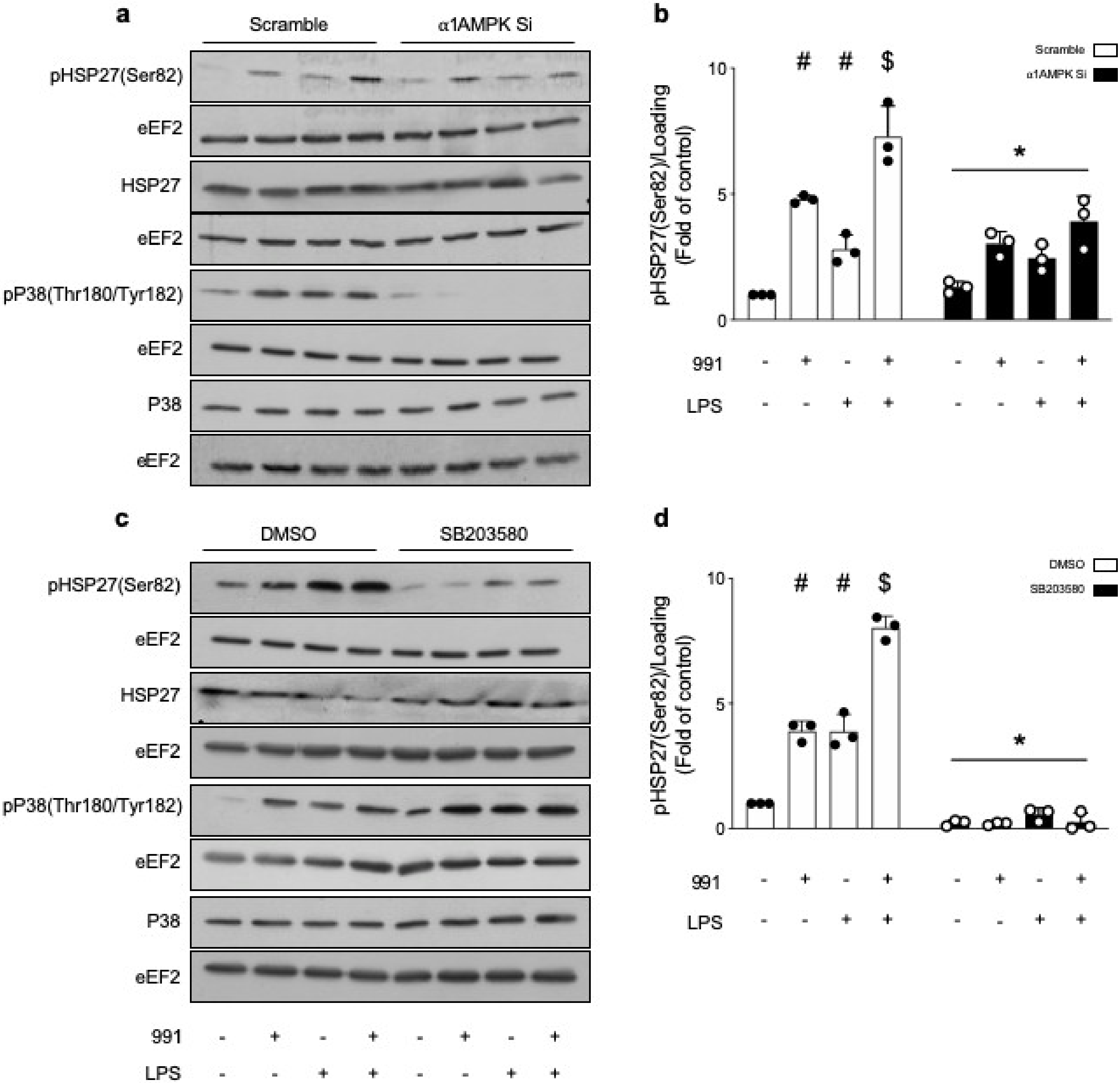 Ijms 21 05581 g005 Ijms 21 05581 g005