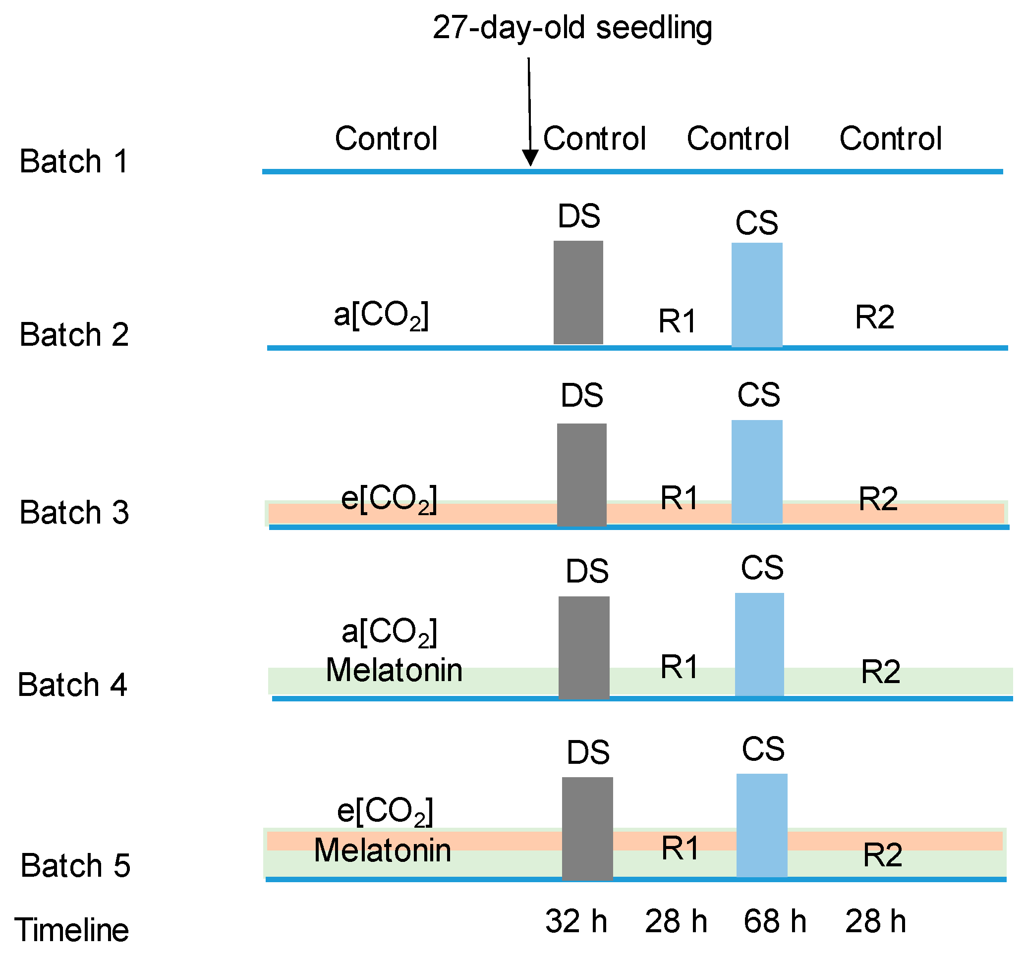 Ijms 21 05587 g001 Ijms 21 05587 g001