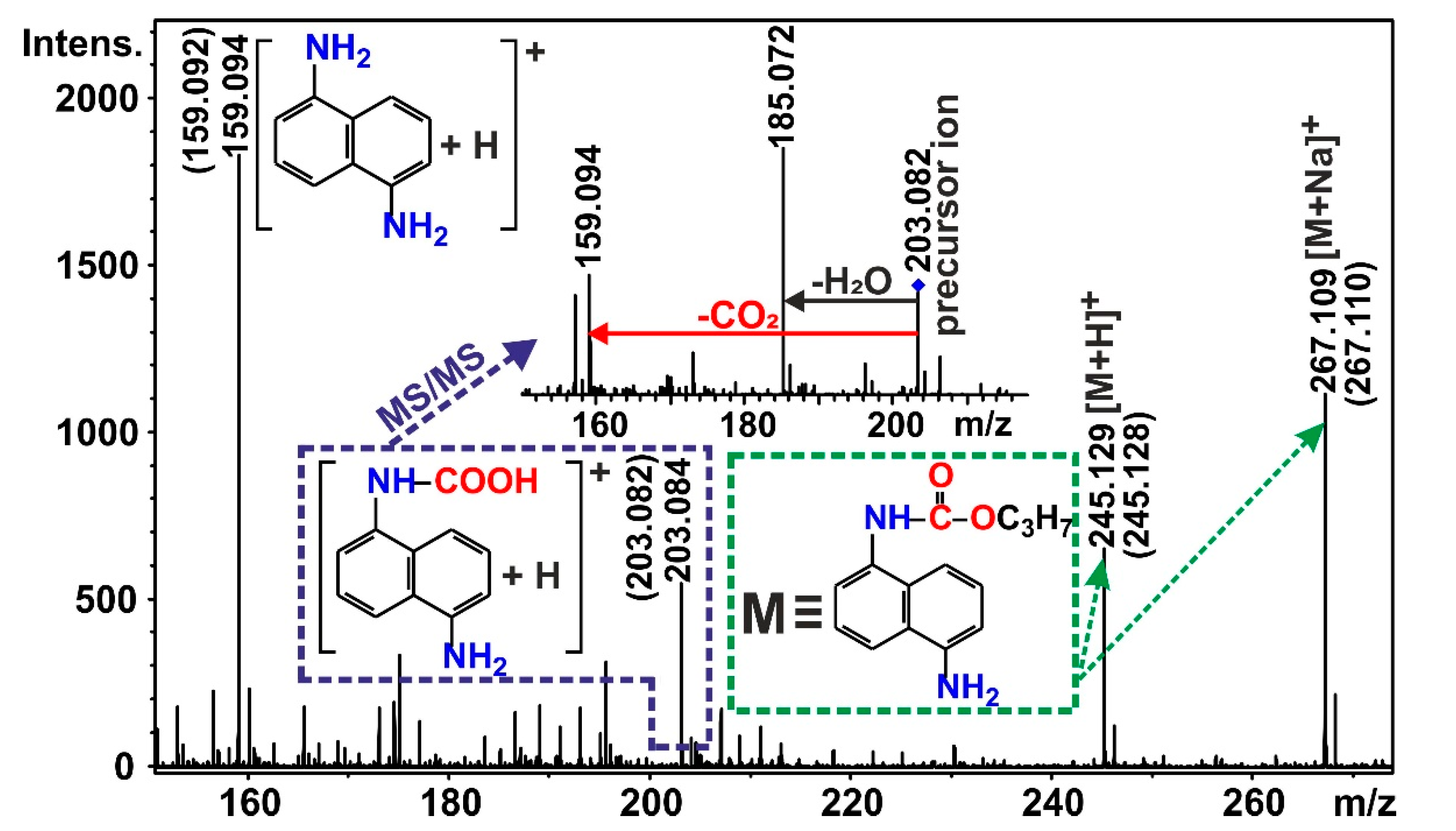 Ijms 21 05588 g004 Ijms 21 05588 g004