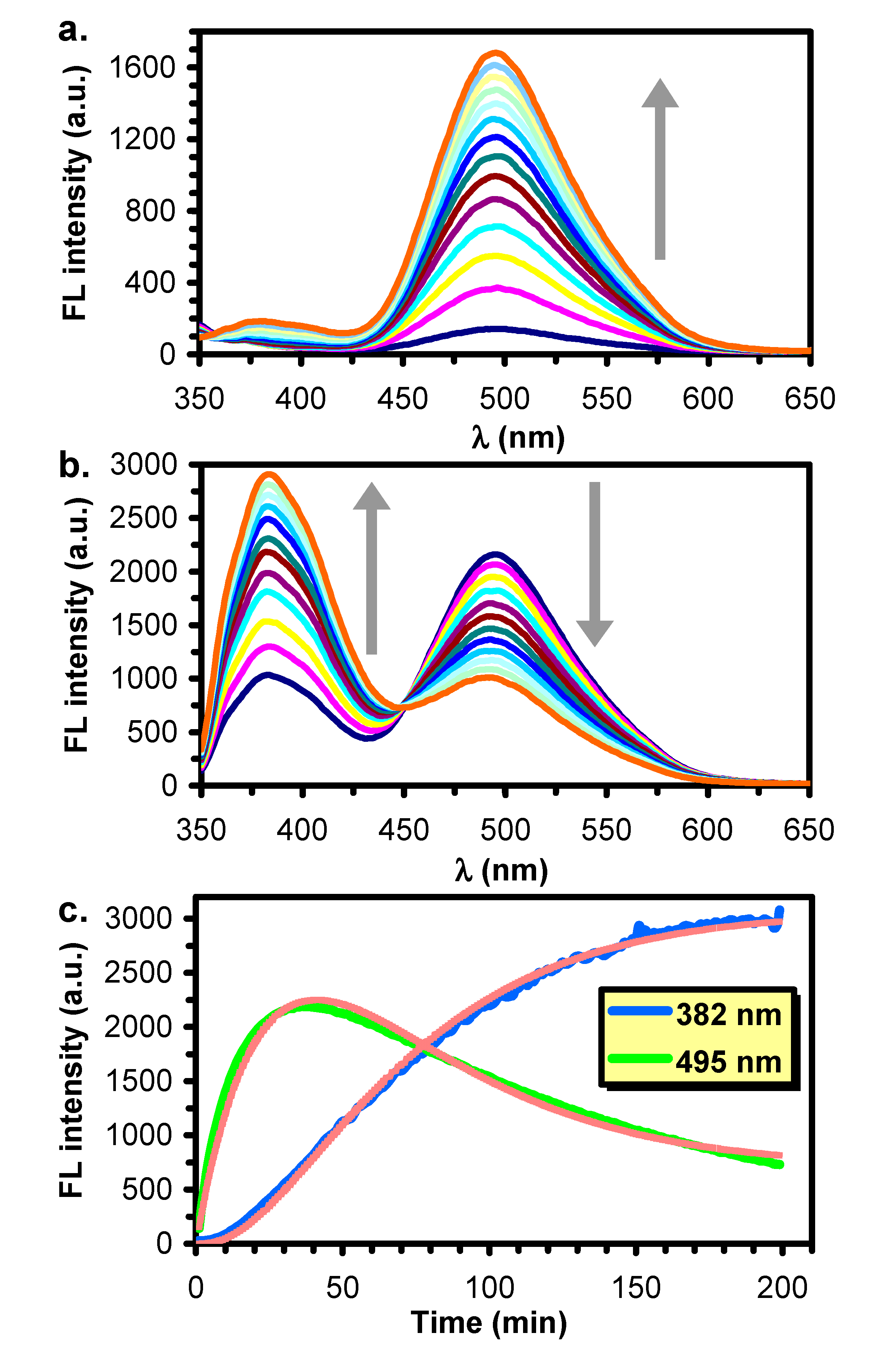 Ijms 21 05588 g007 Ijms 21 05588 g007