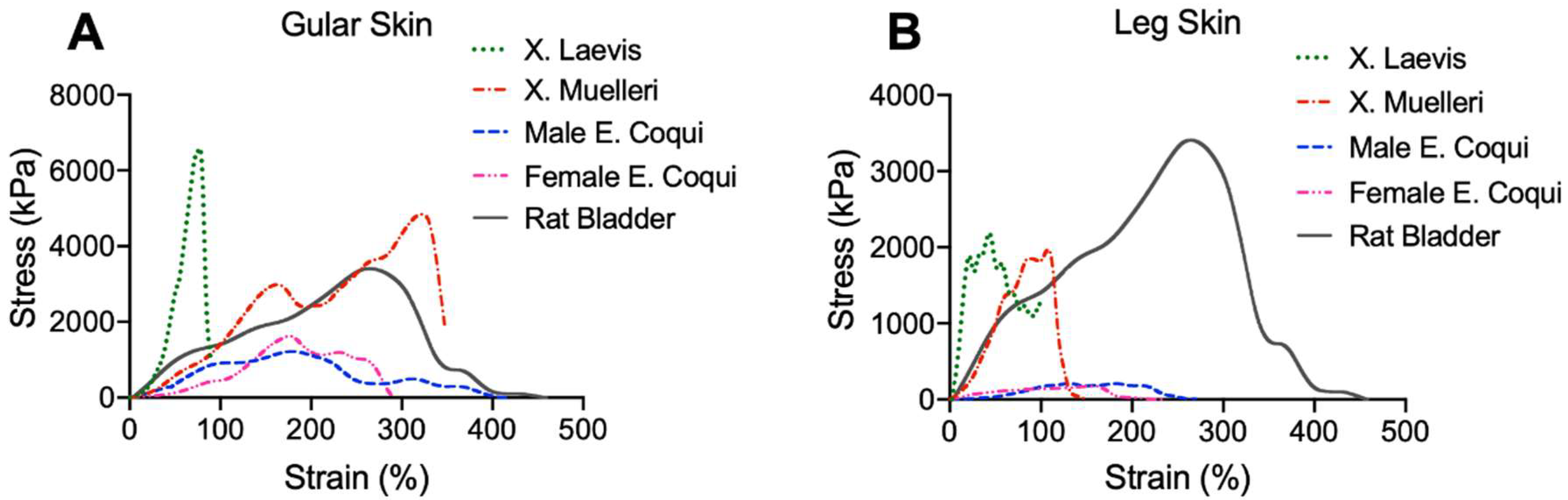 Ijms 21 05593 g002 Ijms 21 05593 g002