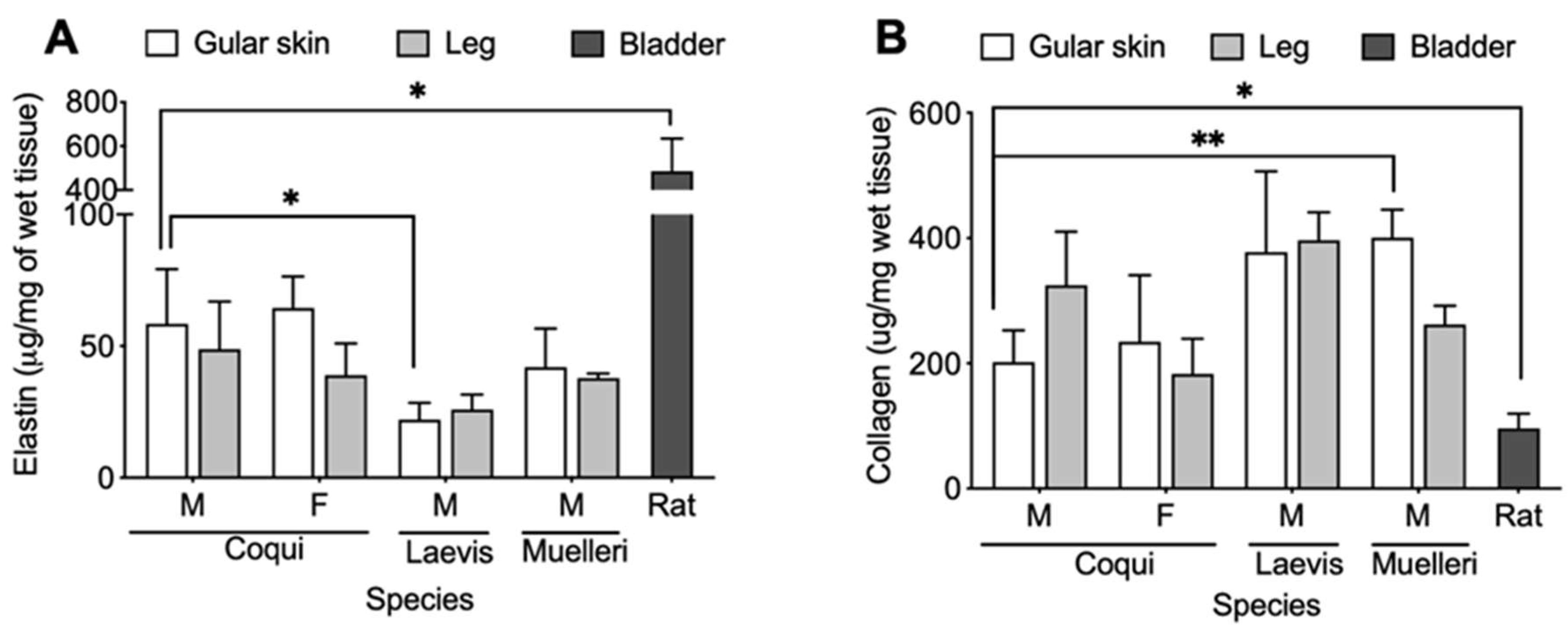 Ijms 21 05593 g007 Ijms 21 05593 g007
