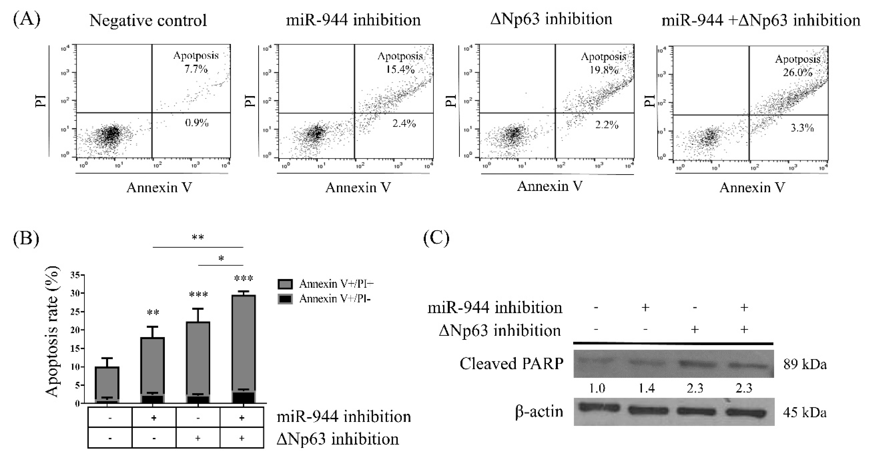 Ijms 21 05612 g004 Ijms 21 05612 g004