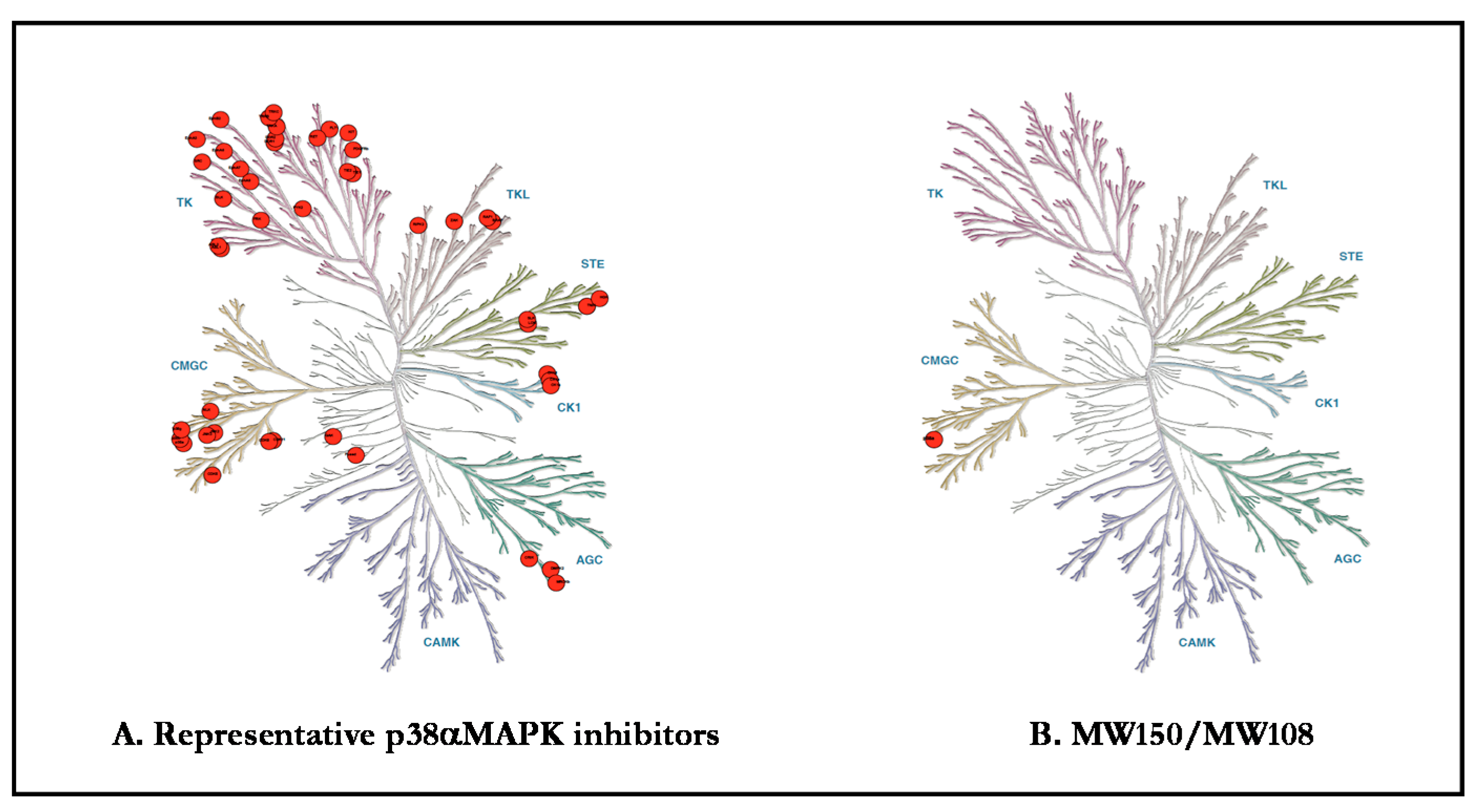 Ijms 21 05624 g002 Ijms 21 05624 g002